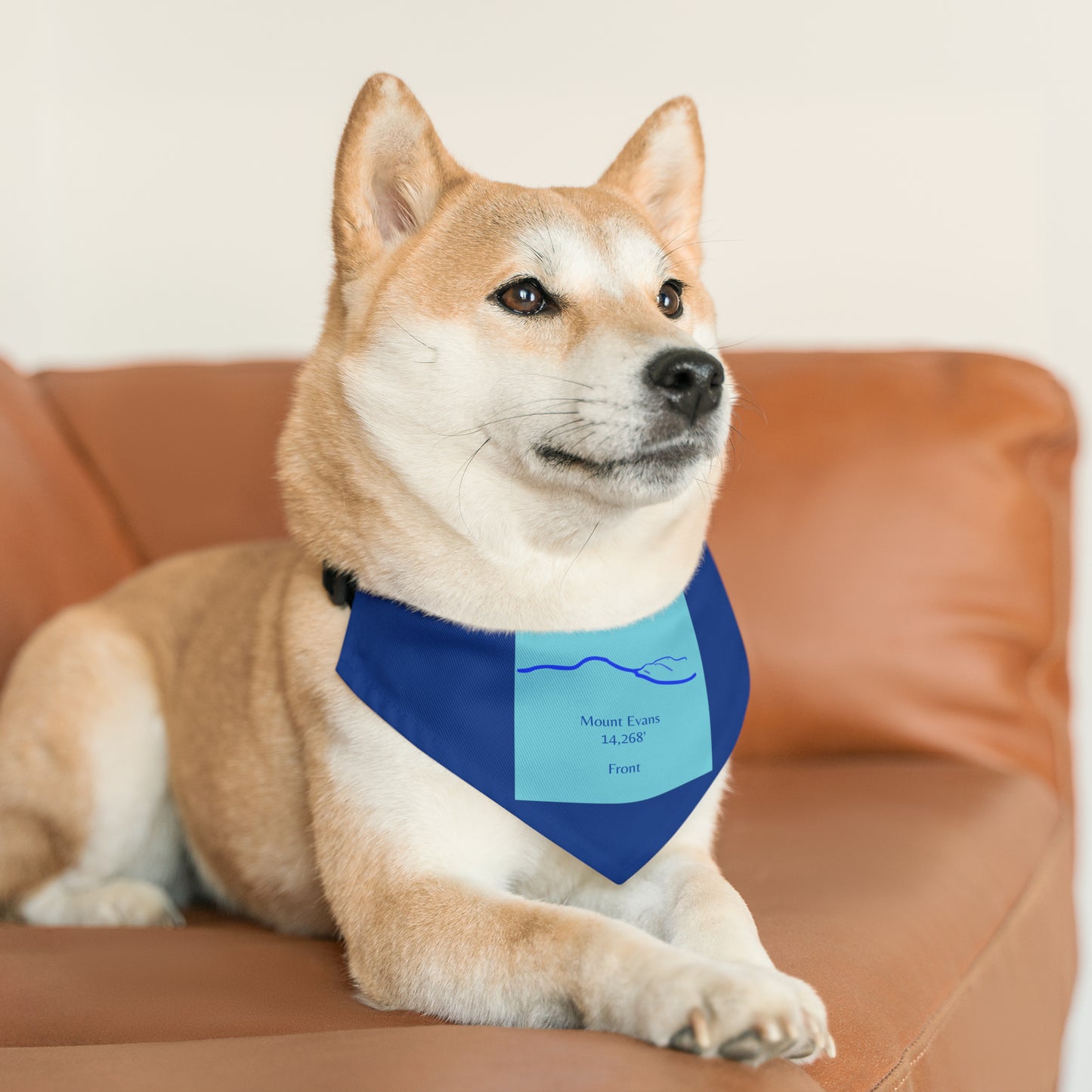 Mount Evans 14er Pet Bandana Collar