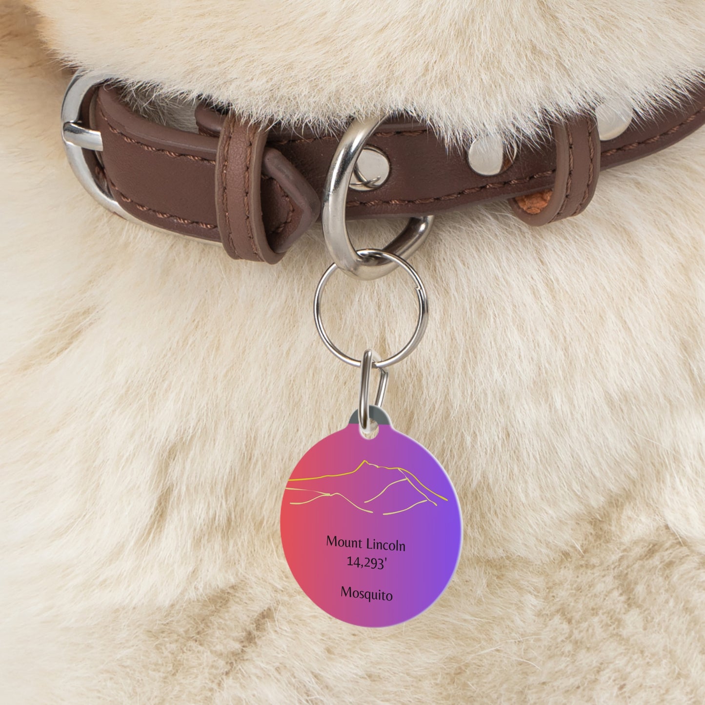 Mount Lincoln Pet Tag