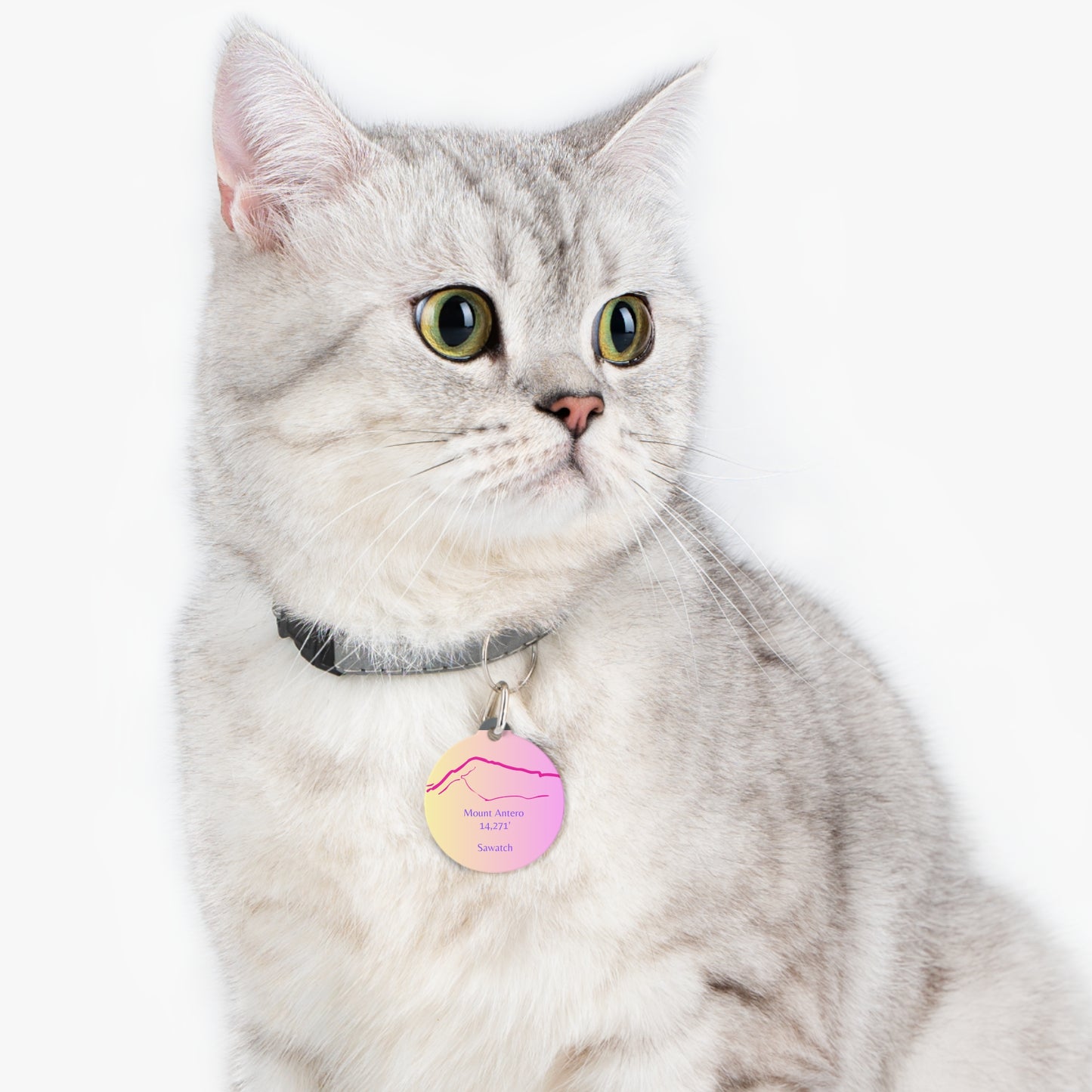 Mount Antero Pet Tag
