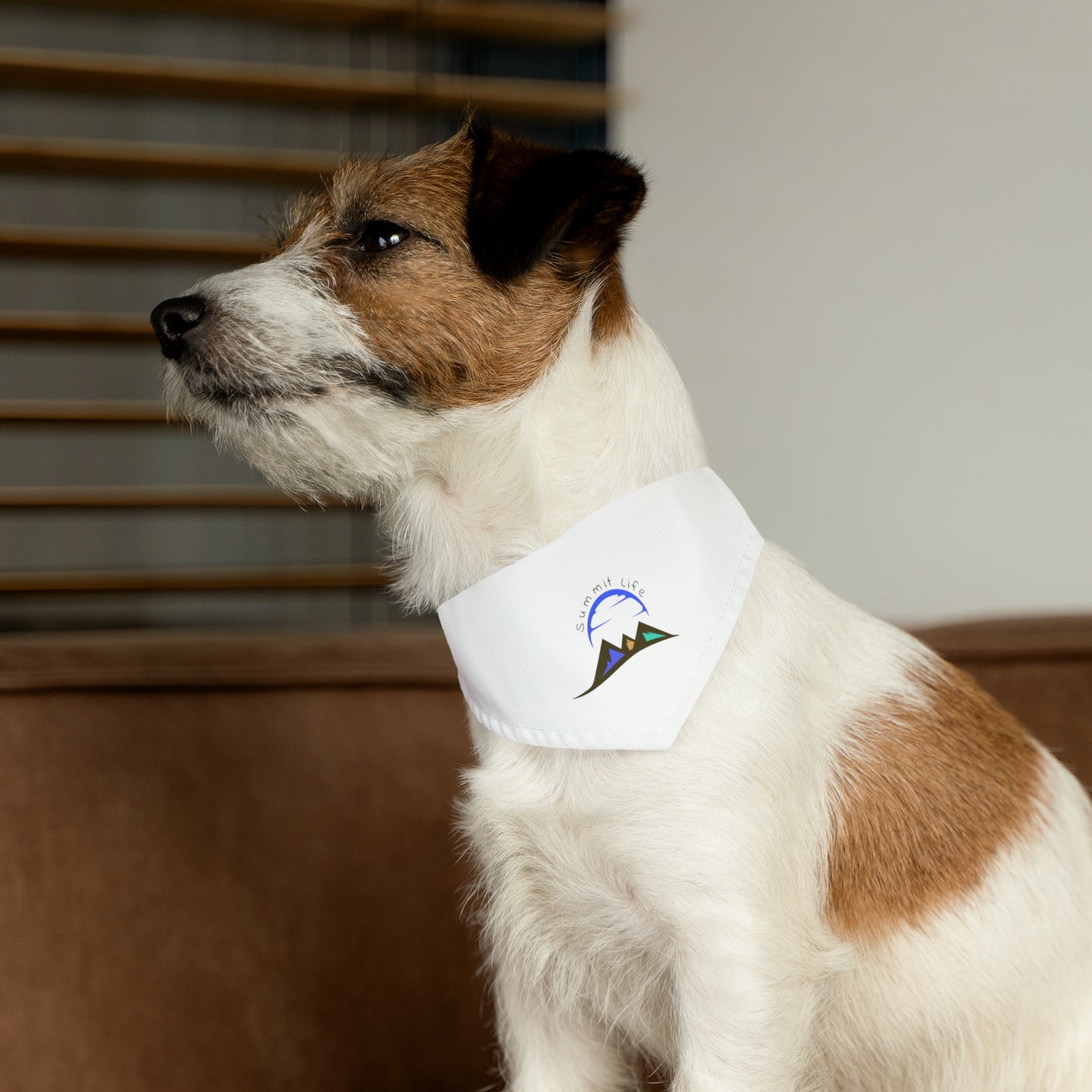 Summit Life Pet Bandana Collar