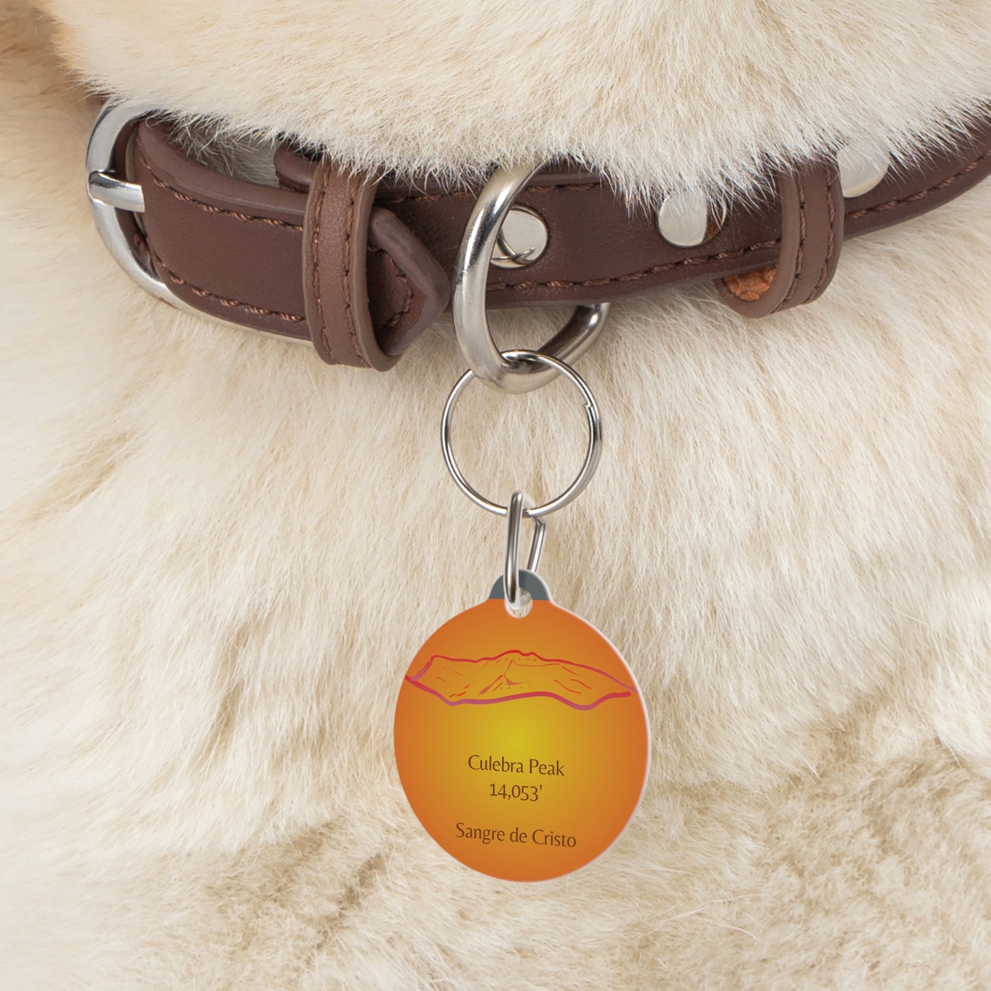 Culebra Peak Pet Tag