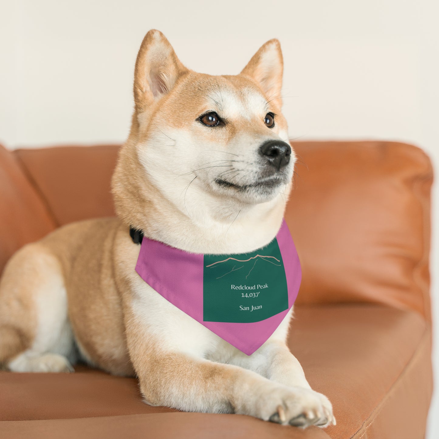 Redcloud Peak 14er Pet Bandana Collar