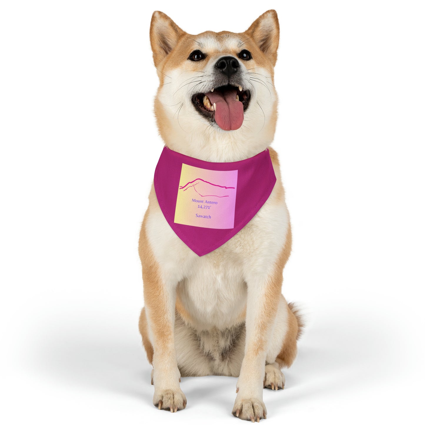 Mount Antero 14er Pet Bandana Collar