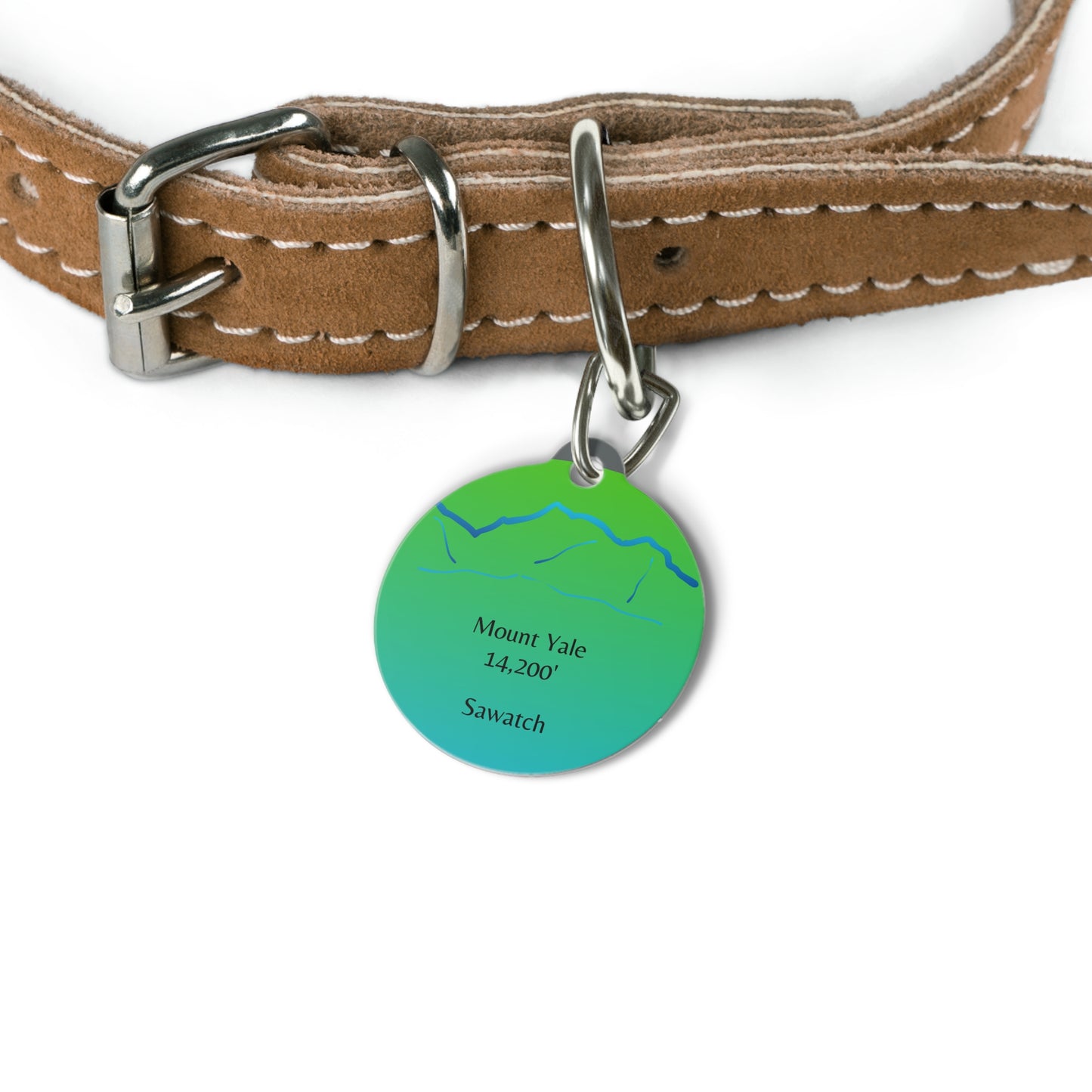 Mount Yale Pet Tag