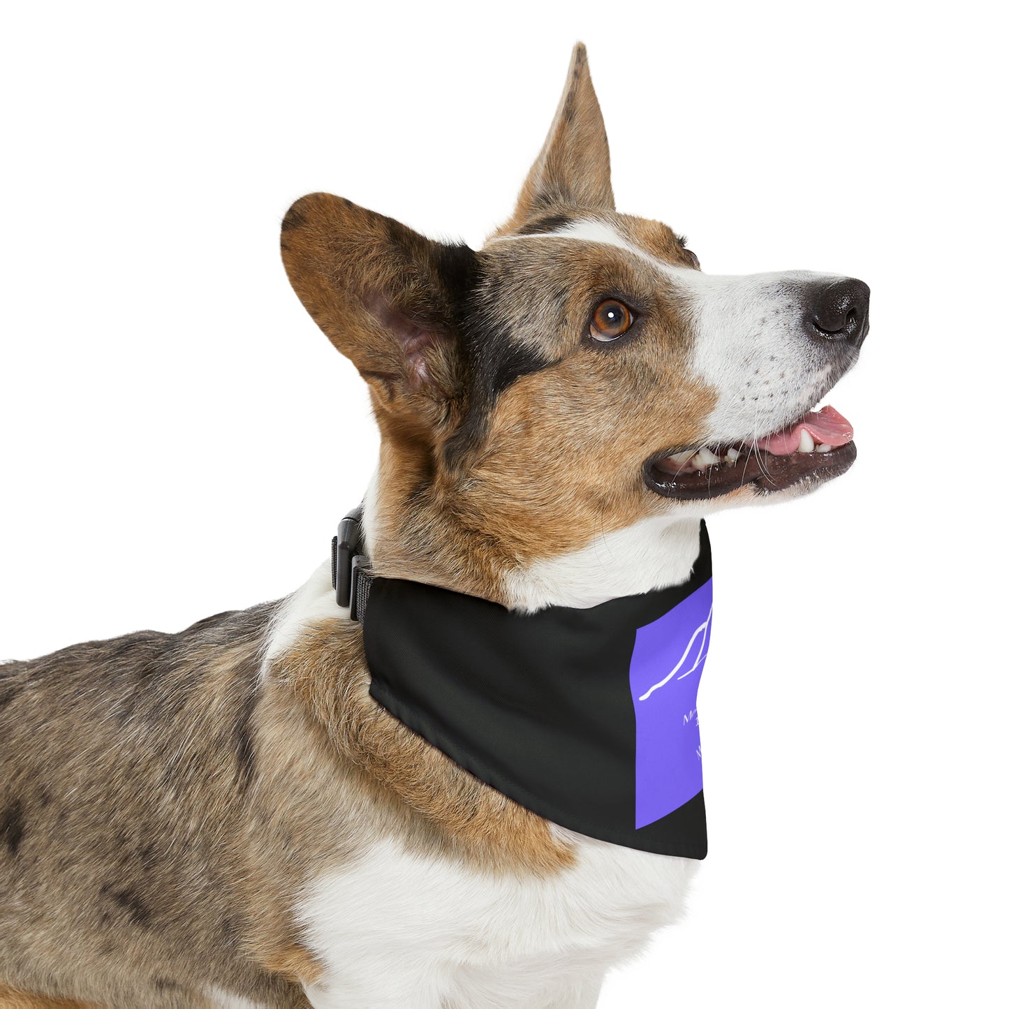 Mount Democrat 14er Pet Bandana Collar