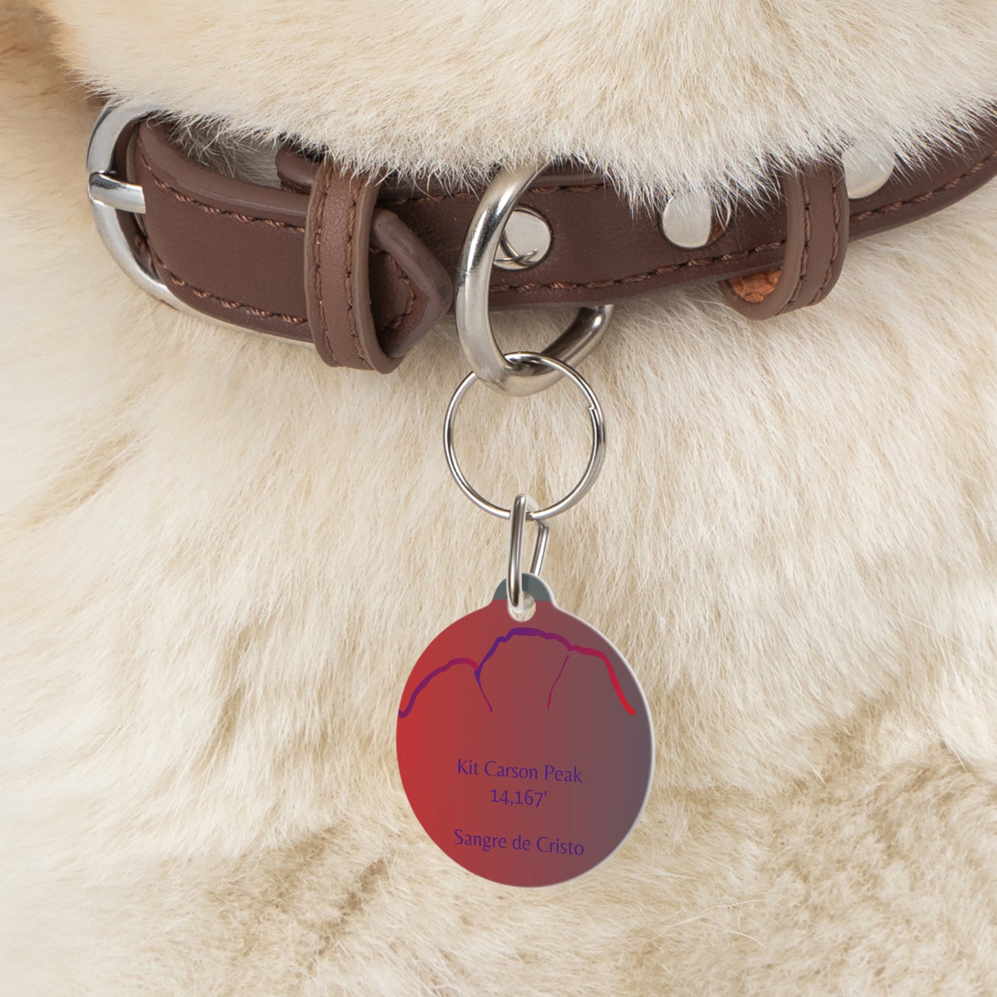 Kit Carson Peak Pet Tag
