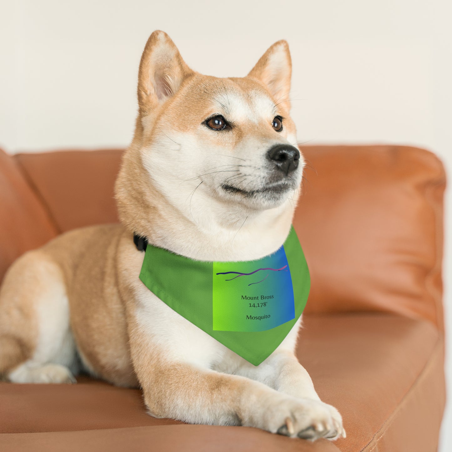 Mount Bross 14er Pet Bandana Collar