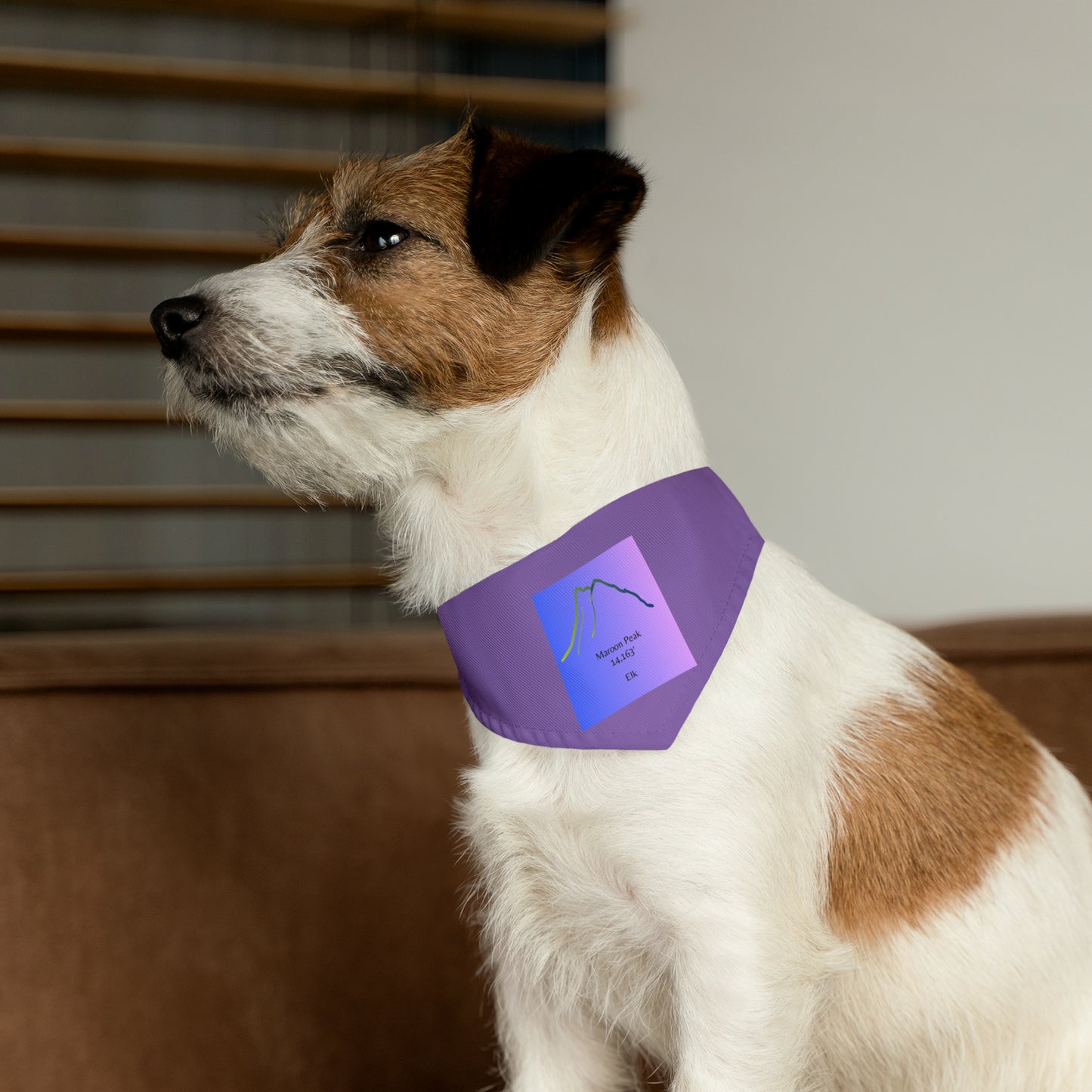 Maroon Peak 14er Pet Bandana Collar