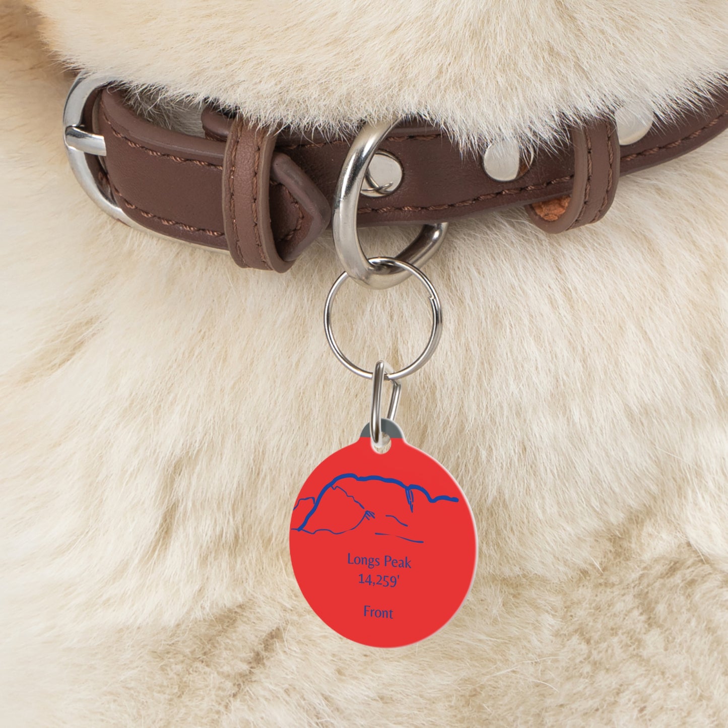 Longs Peak Pet Tag