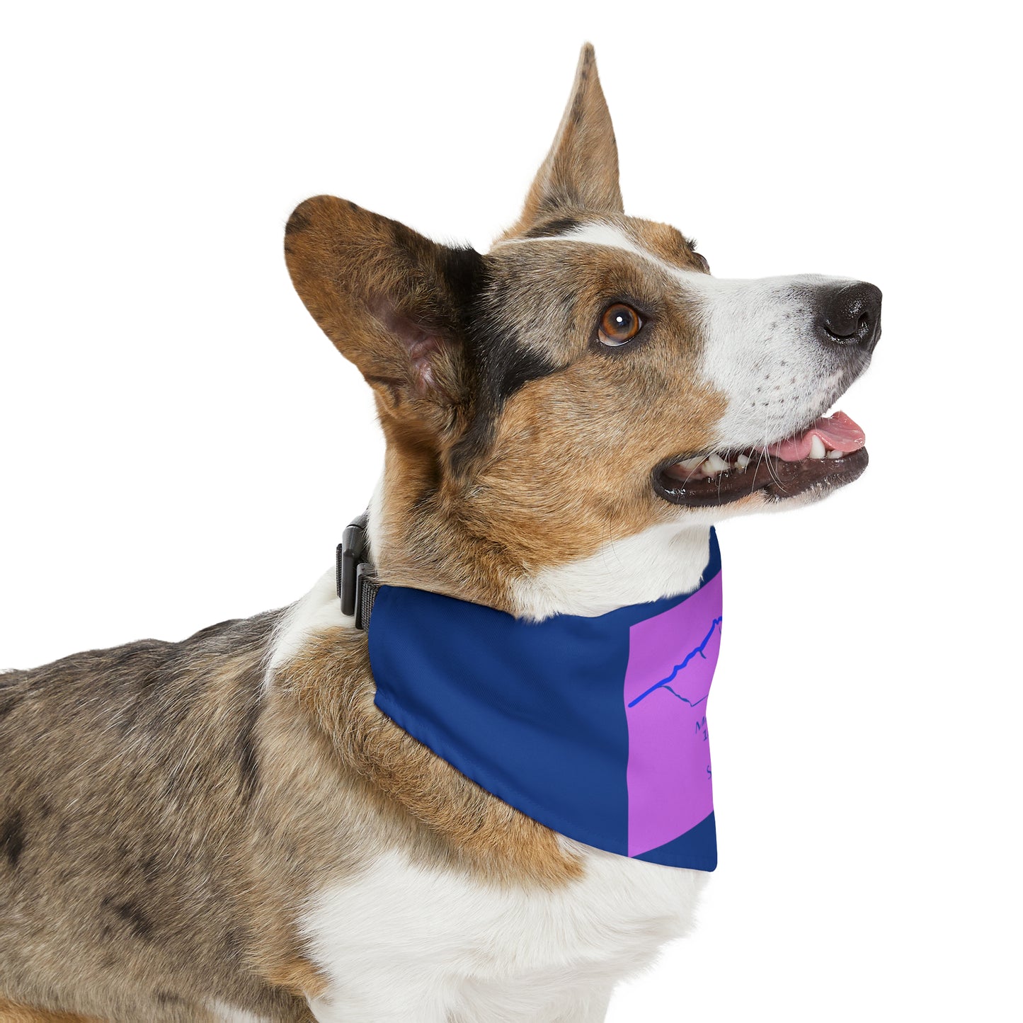 Mount Wilson 14er Pet Bandana Collar