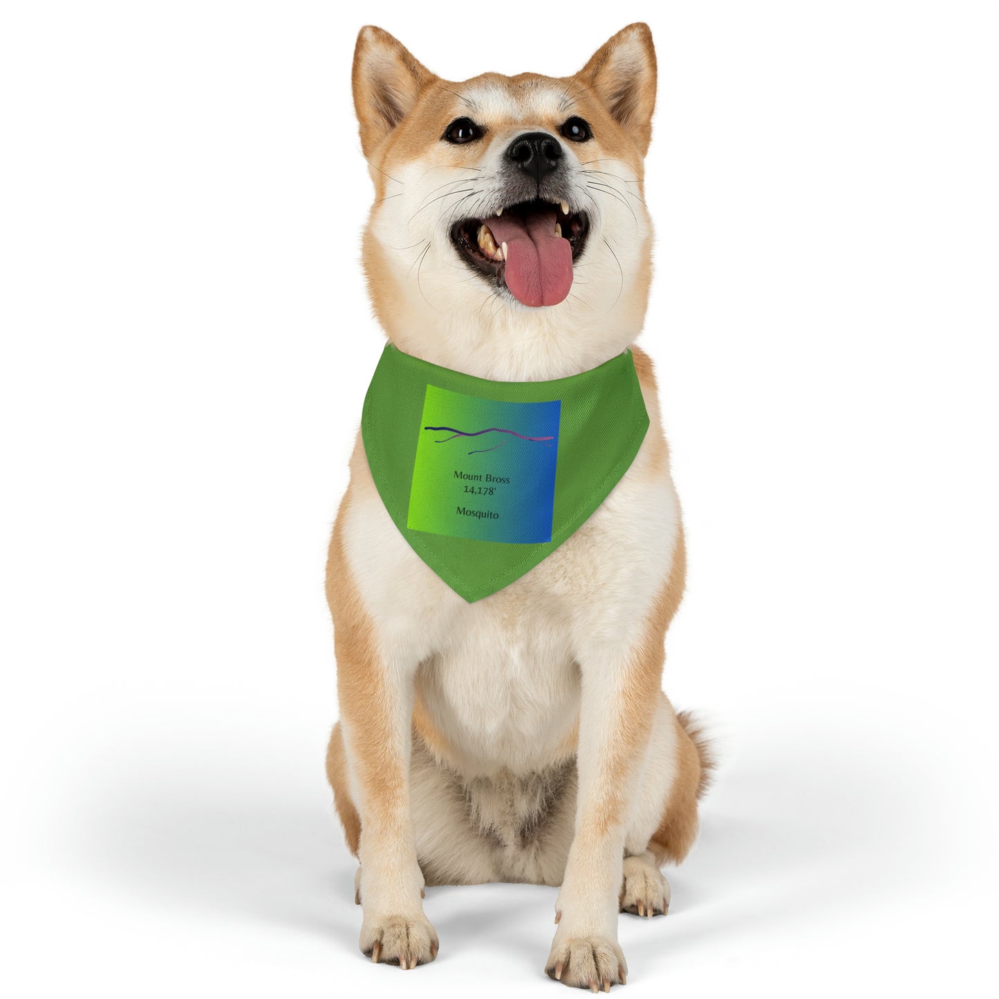Mount Bross 14er Pet Bandana Collar