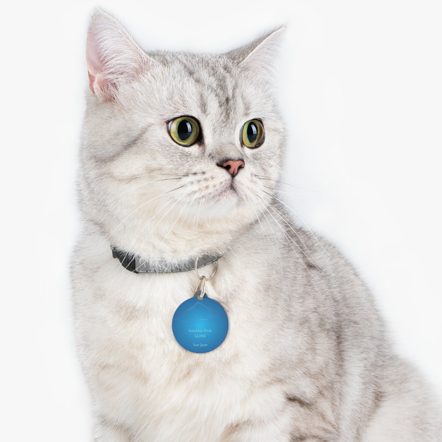 Sunshine Peak Pet Tag