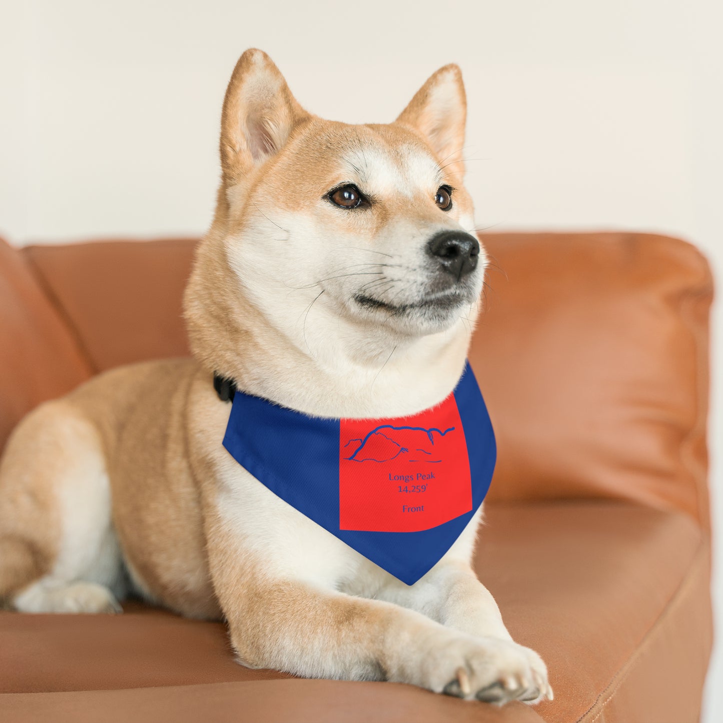 Longs Peak 14er Pet Bandana Collar