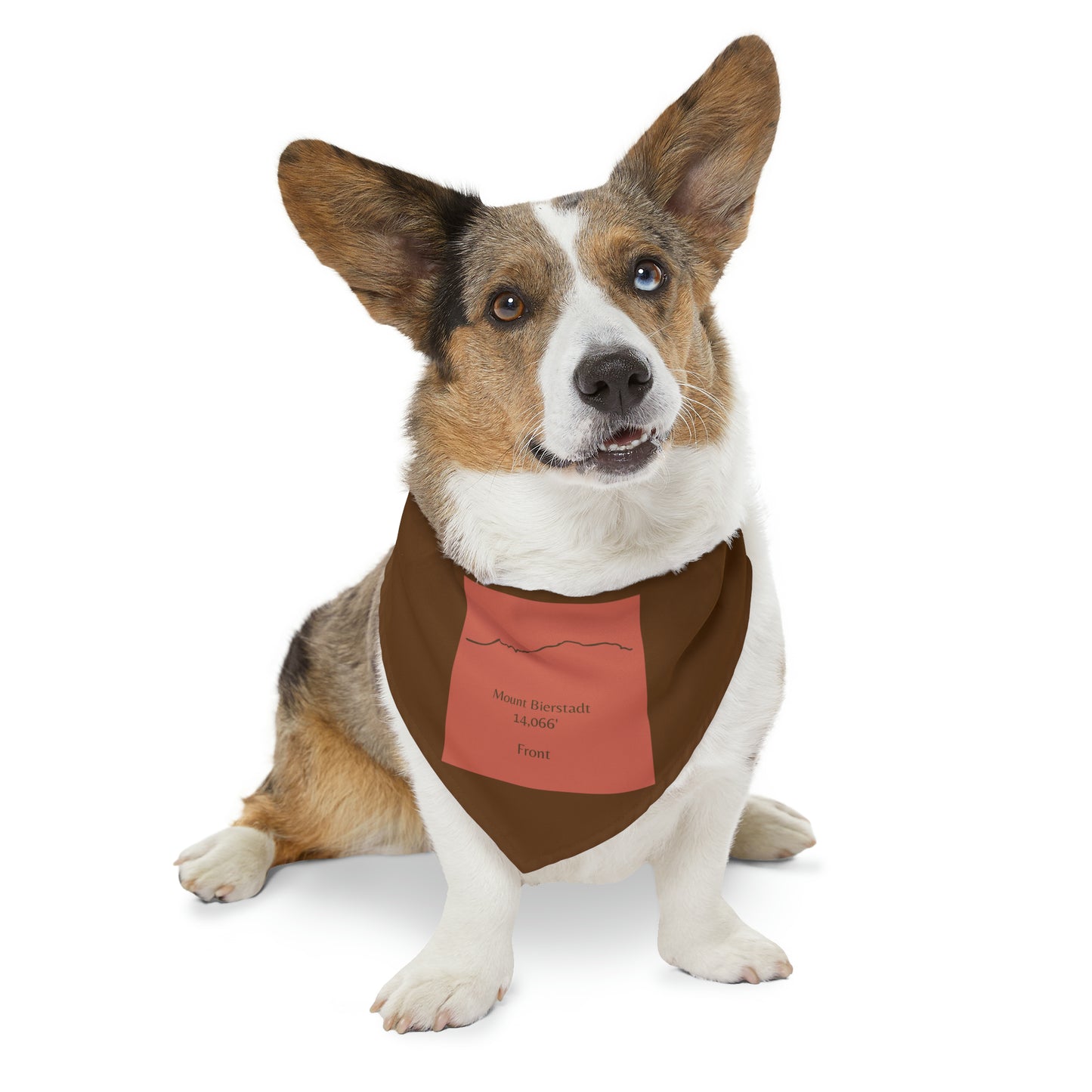 Mount Bierstadt 14er Pet Bandana Collar