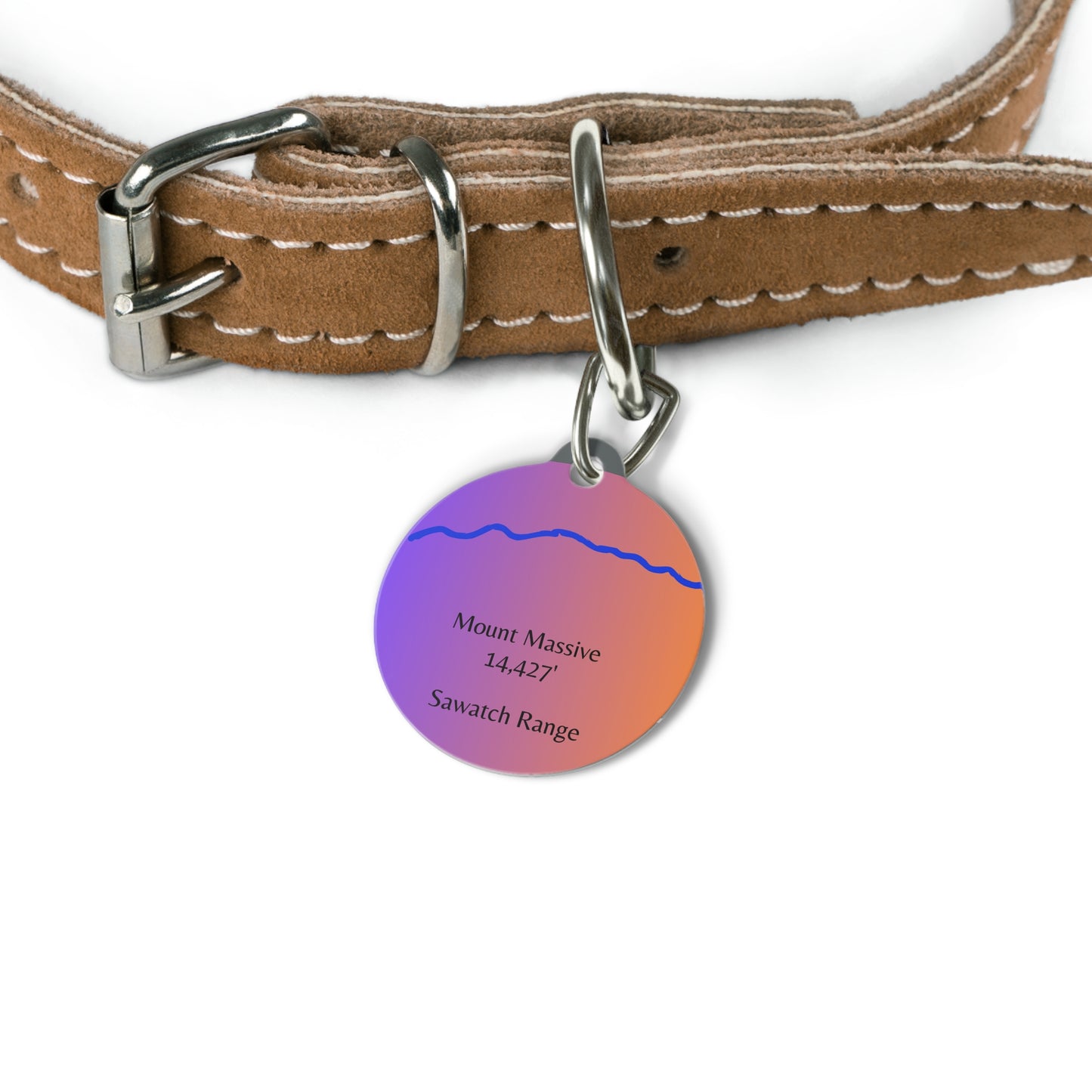 Mount Massive Pet Tag