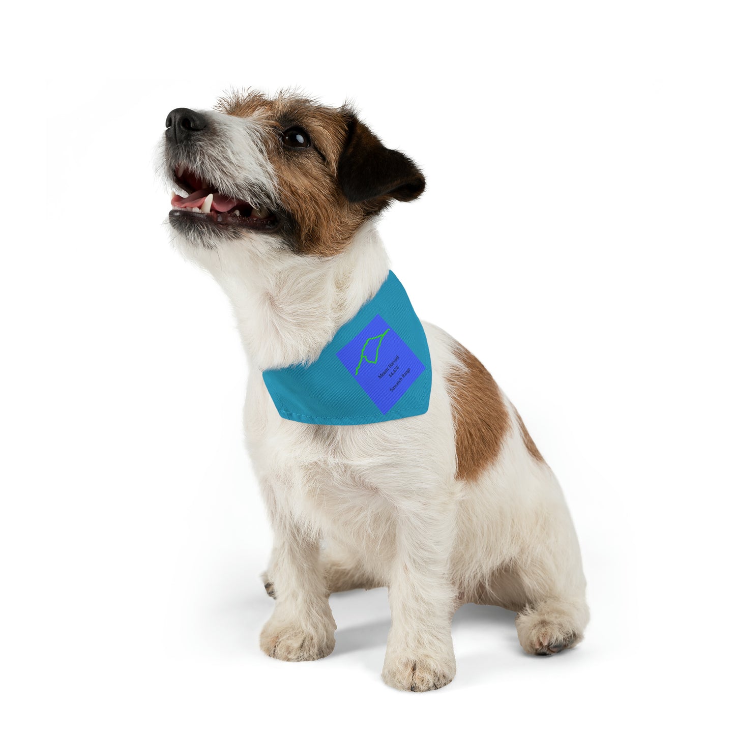 Mount Harvard 14er Pet Bandana Collar