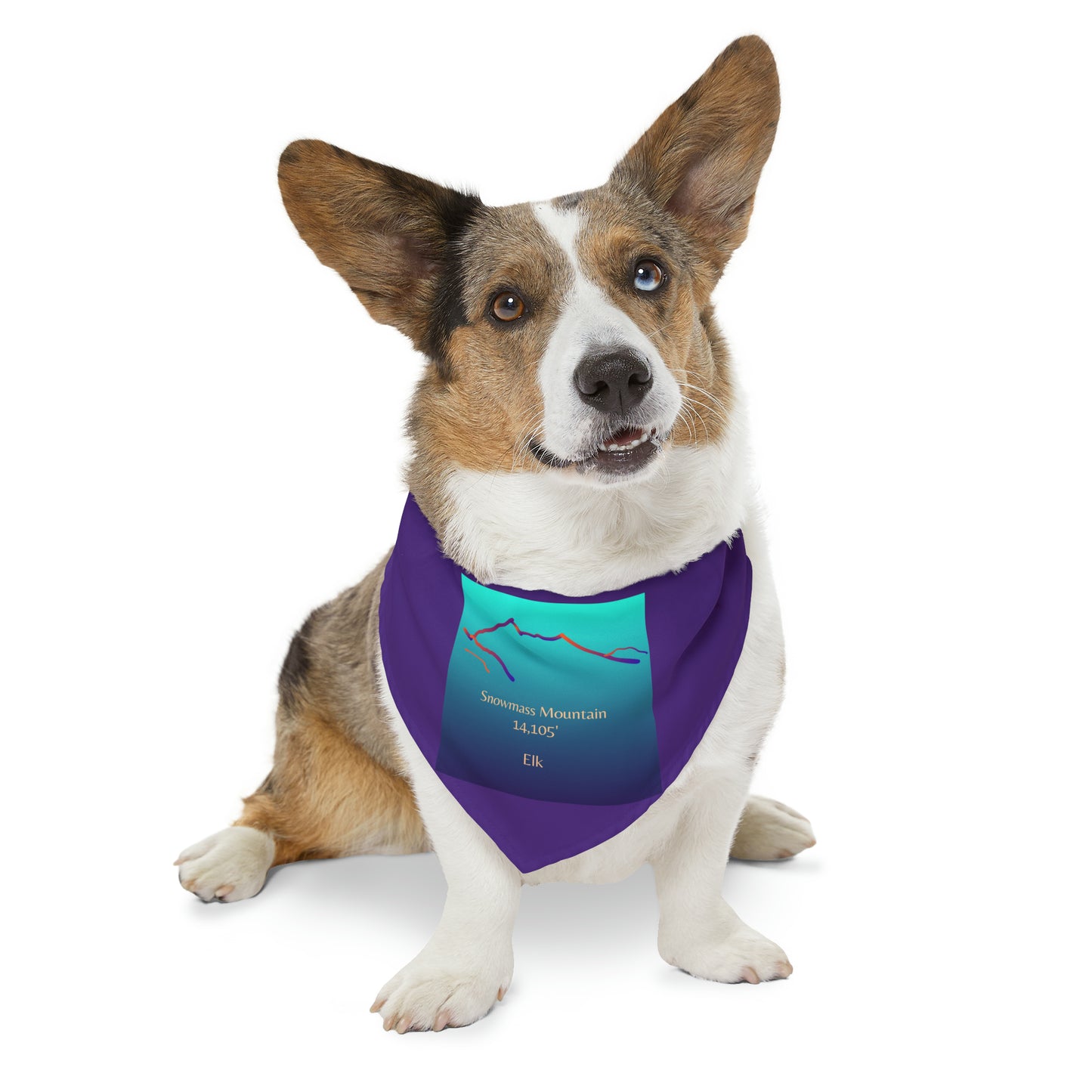 Snowmass Mountain 14er Pet Bandana Collar