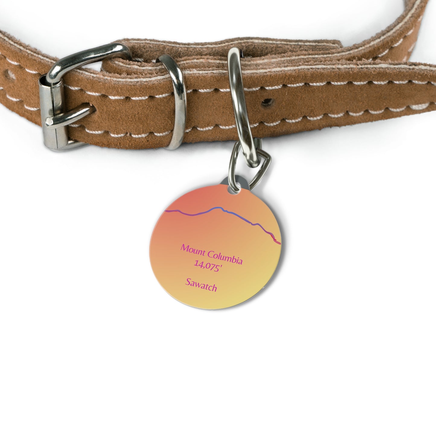 Mount Columbia 14er Pet Tag