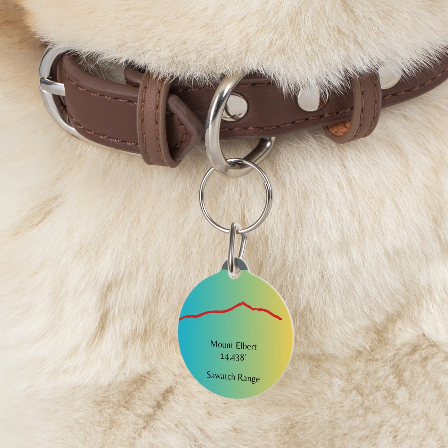 Mount Elbert Pet Tag