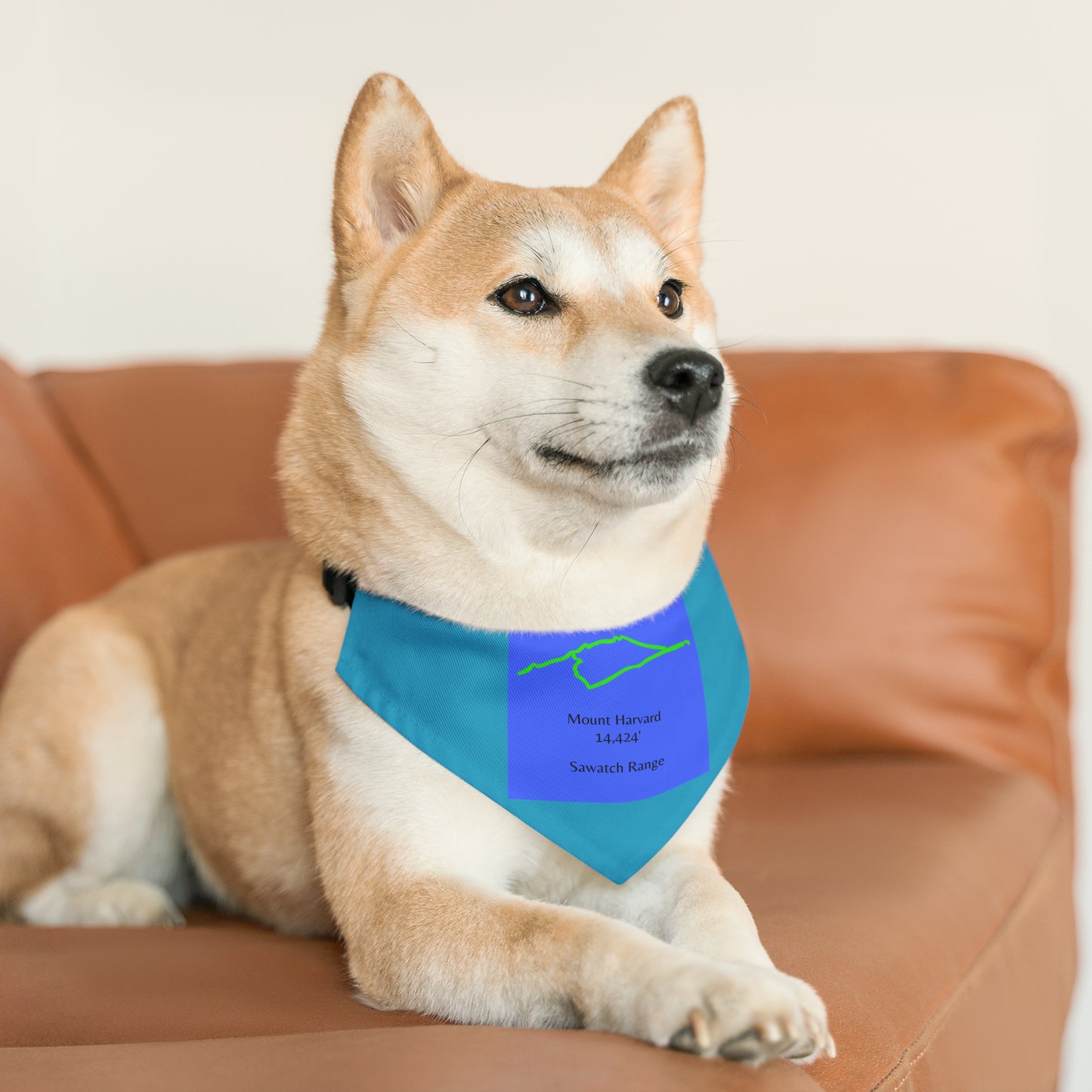 Mount Harvard 14er Pet Bandana Collar
