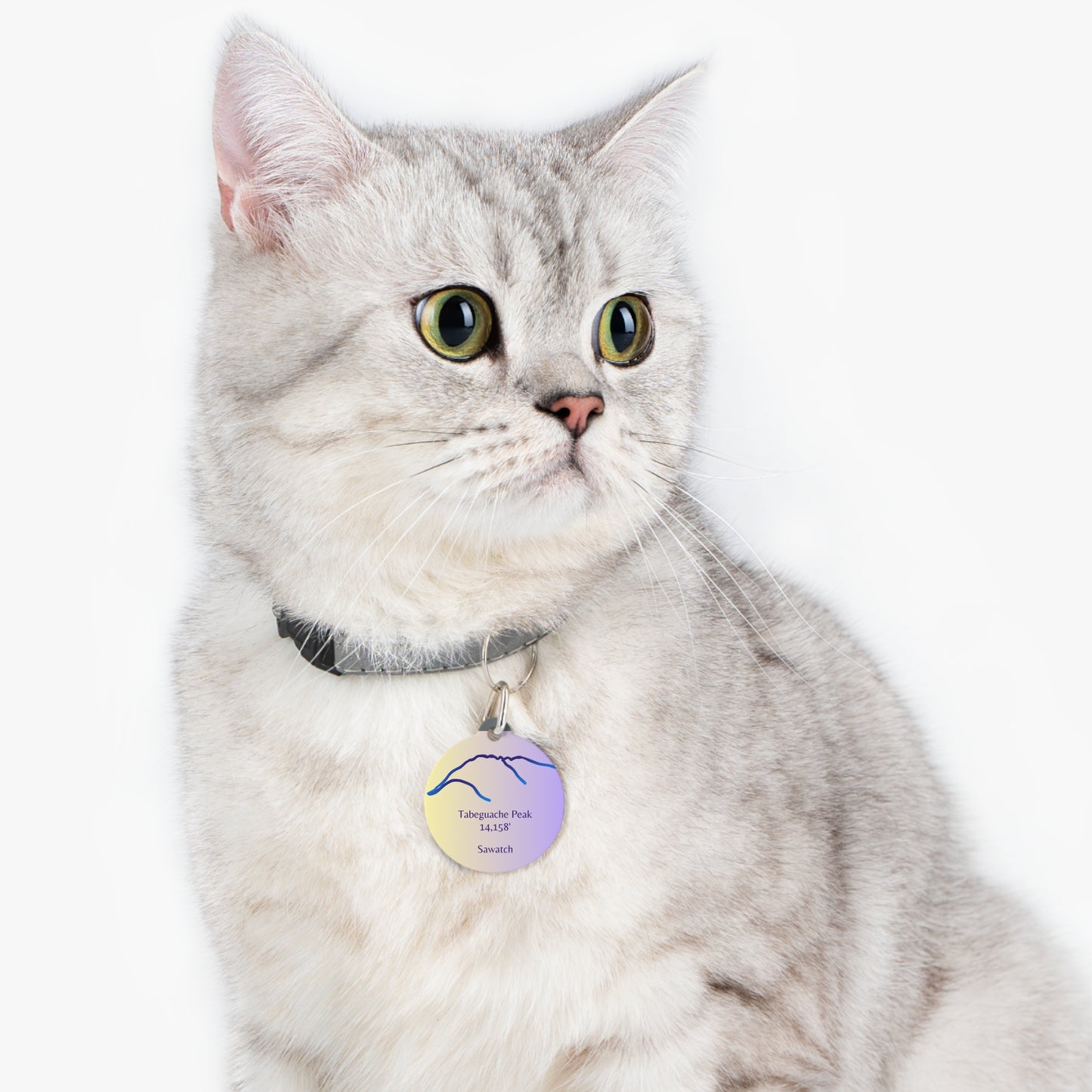 Tabeguache Peak Pet Tag