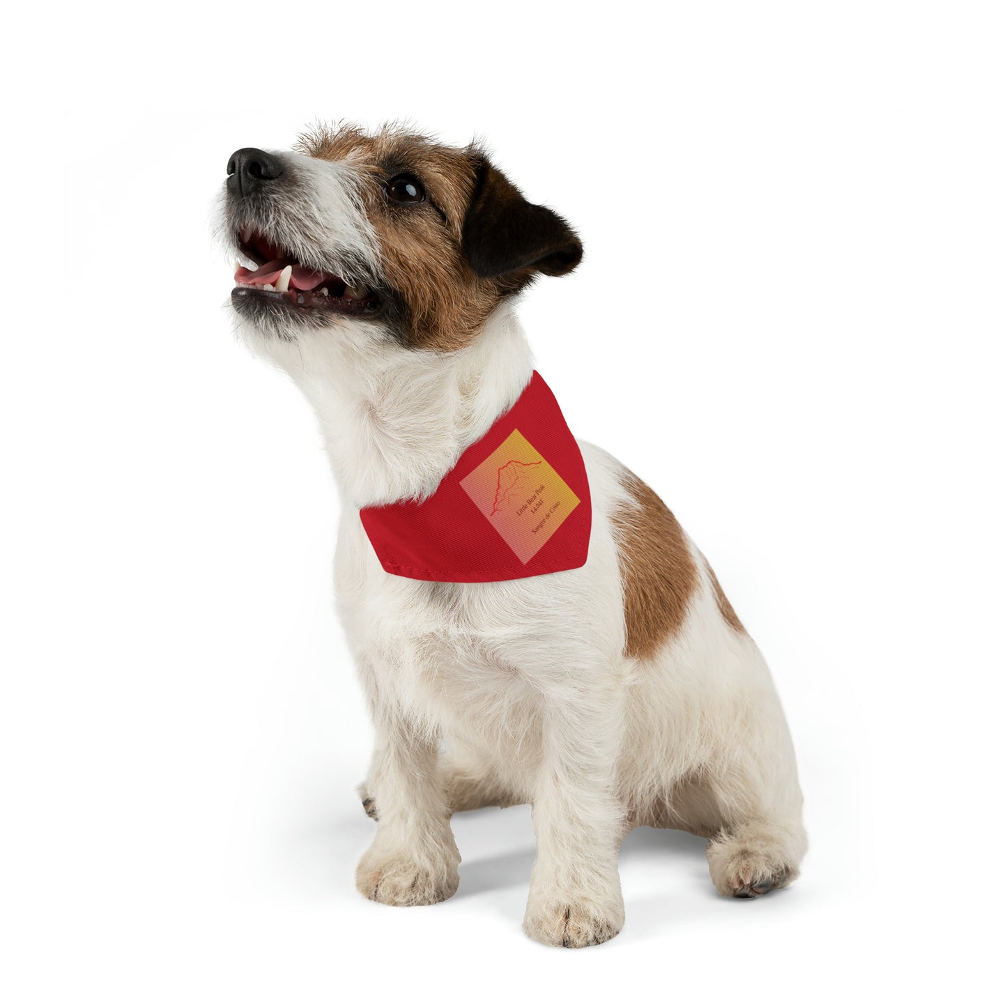 Little Bear Peak 14er Pet Bandana Collar