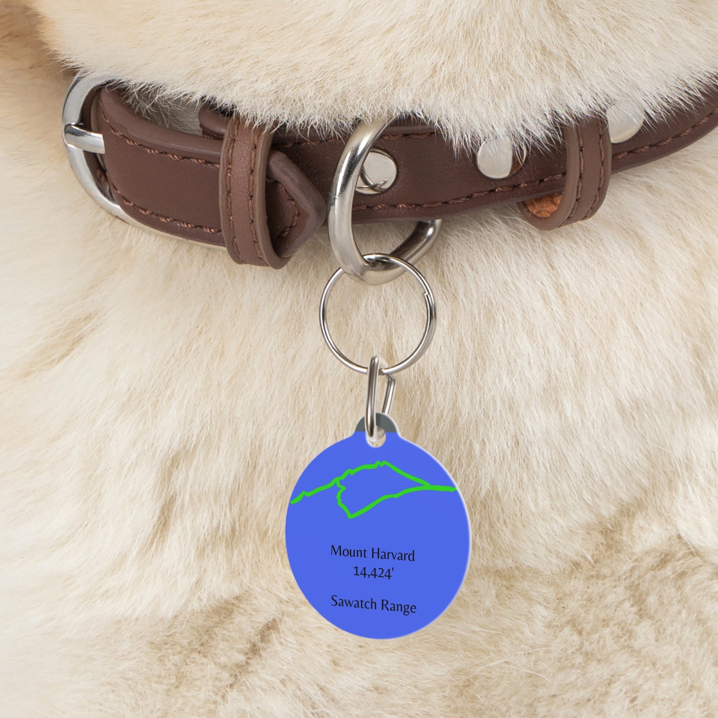 Mount Harvard Pet Tag