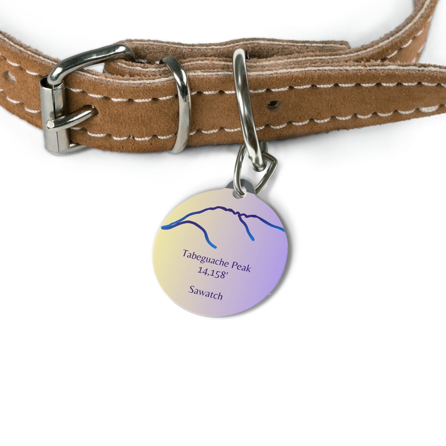 Tabeguache Peak Pet Tag