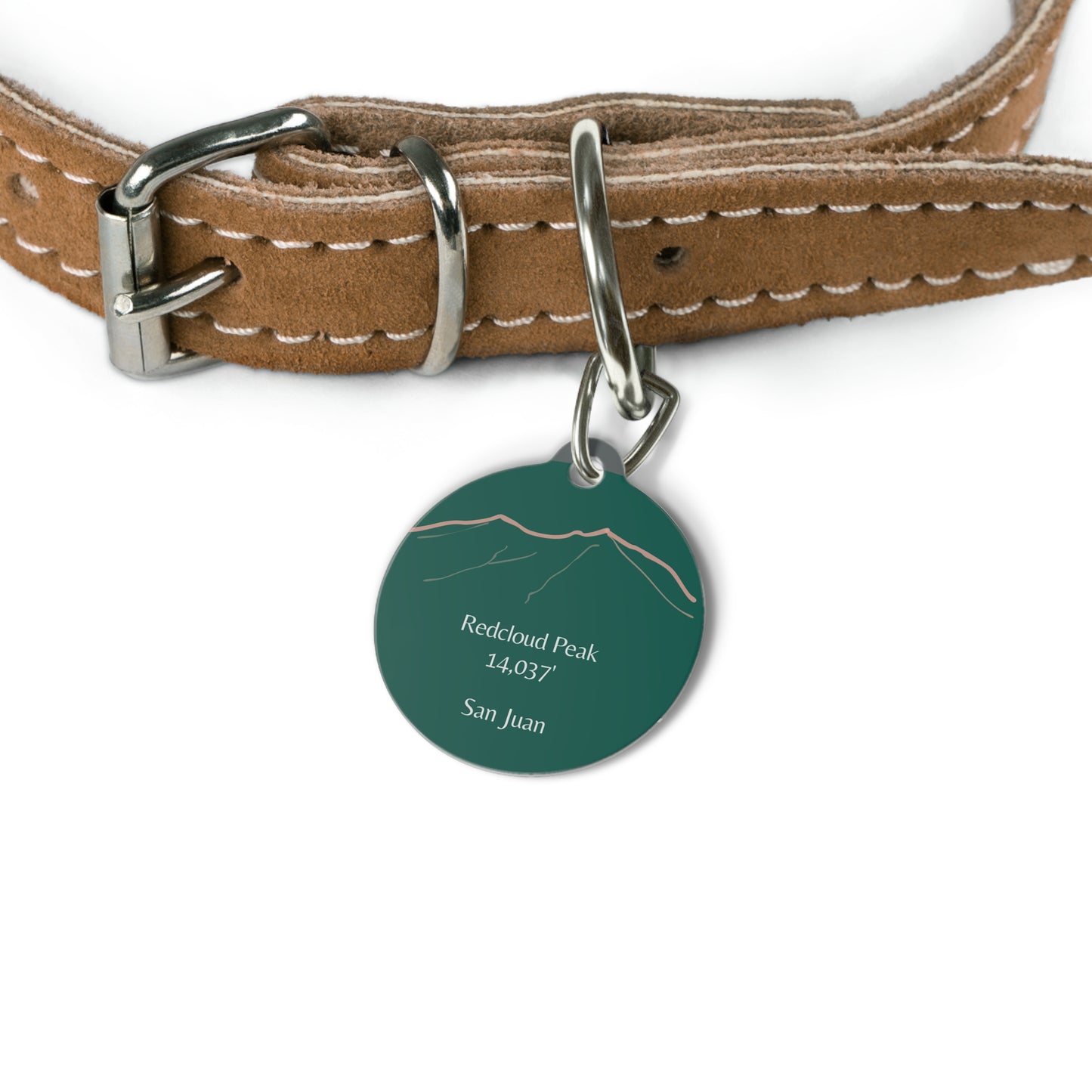 Redcloud Peak 14er Pet Tag