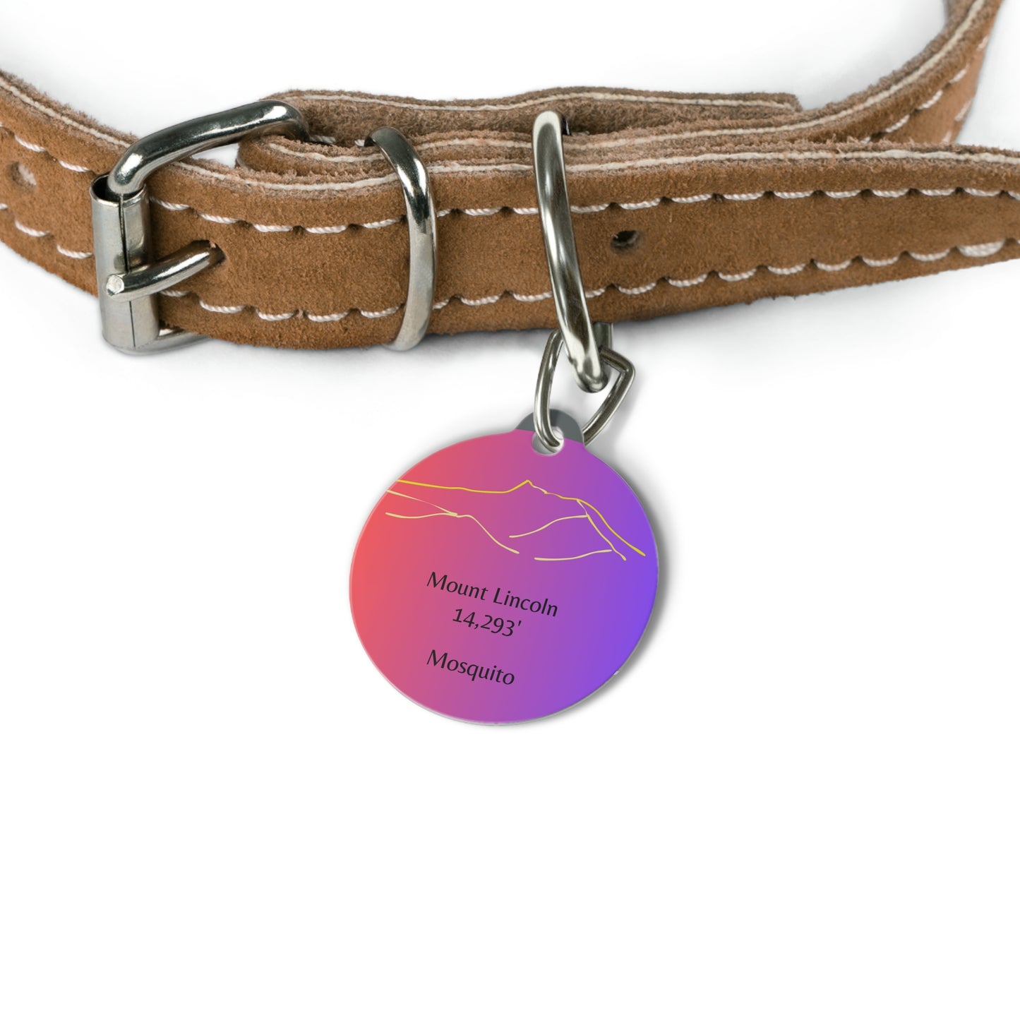 Mount Lincoln Pet Tag