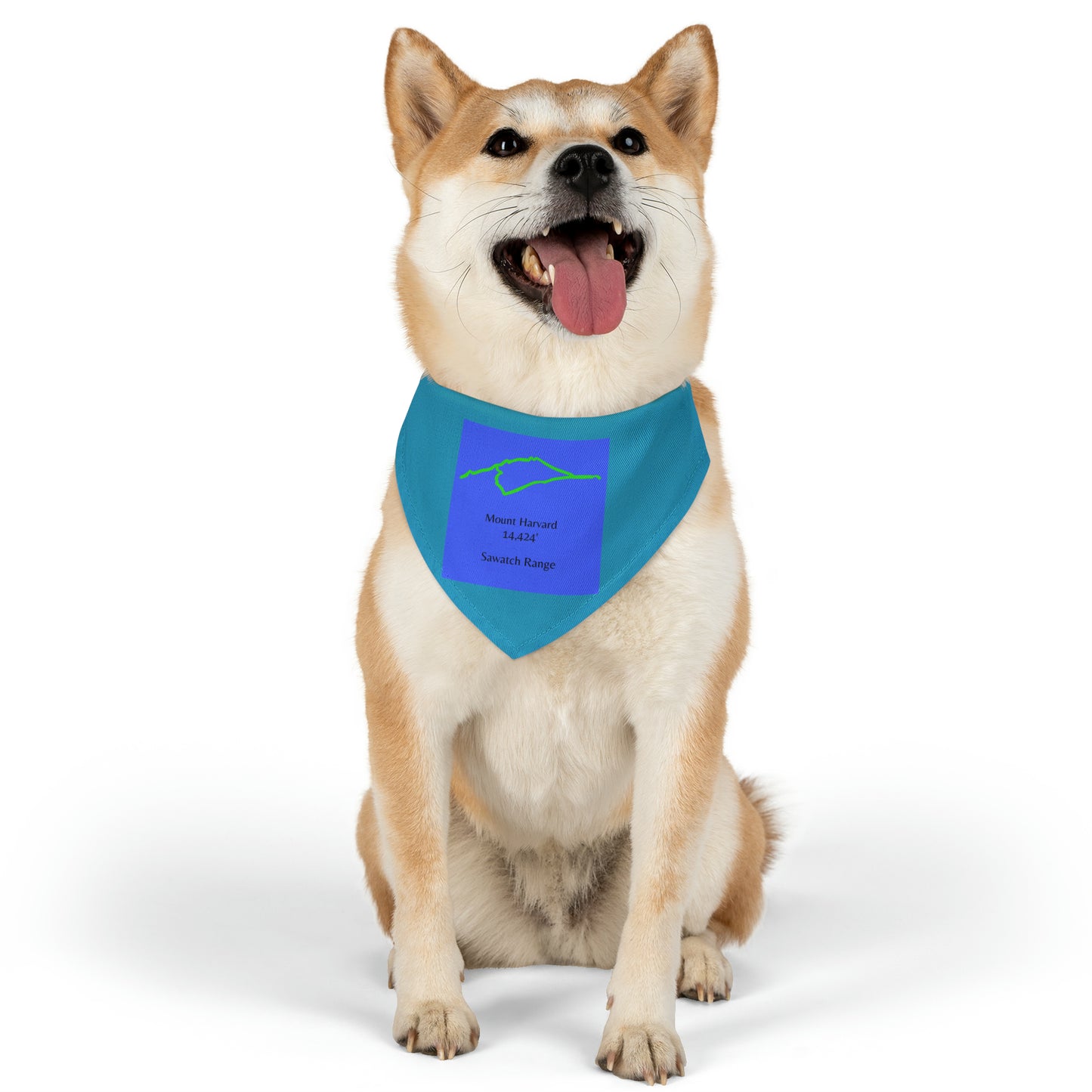 Mount Harvard 14er Pet Bandana Collar