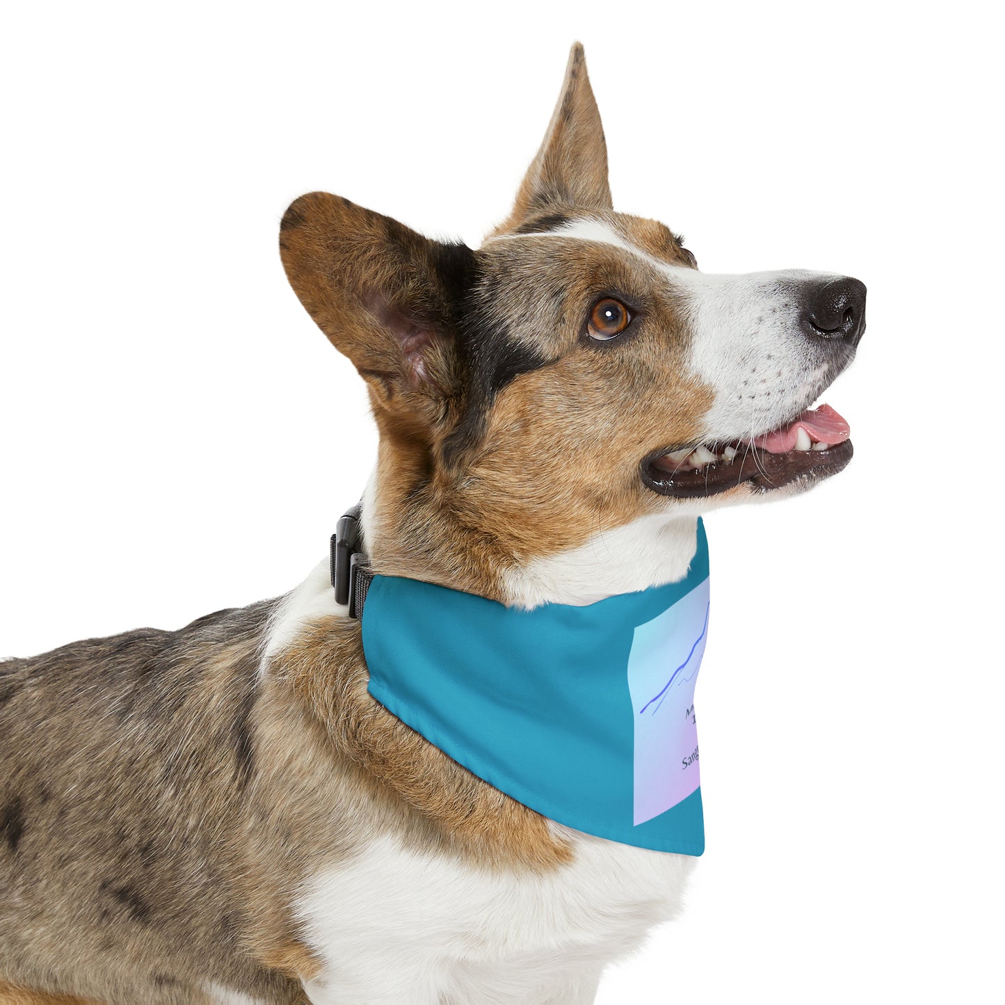 Mount Lindsey 14er Pet Bandana Collar