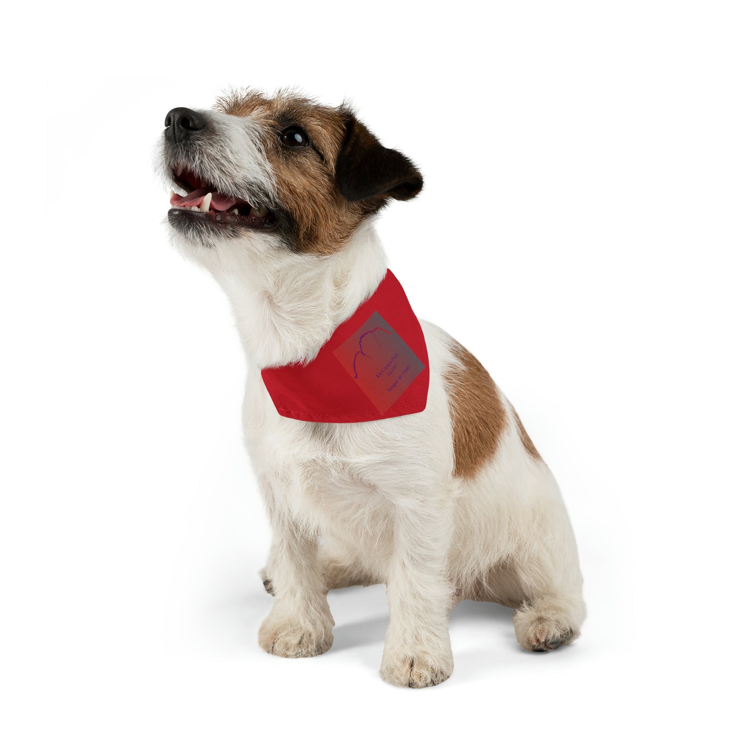 Kit Carson Peak 14er Pet Bandana Collar