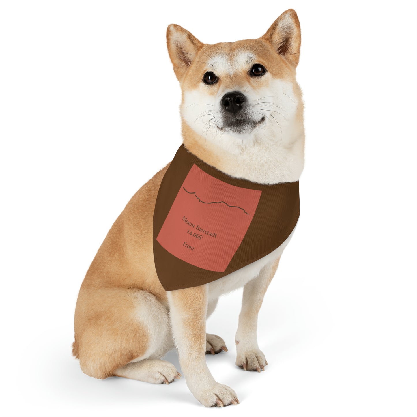 Mount Bierstadt 14er Pet Bandana Collar