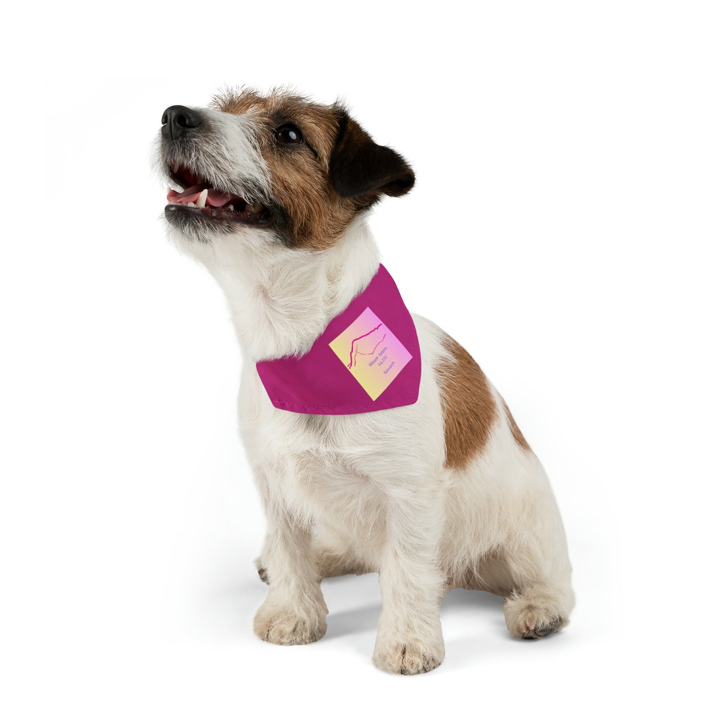 Mount Antero 14er Pet Bandana Collar