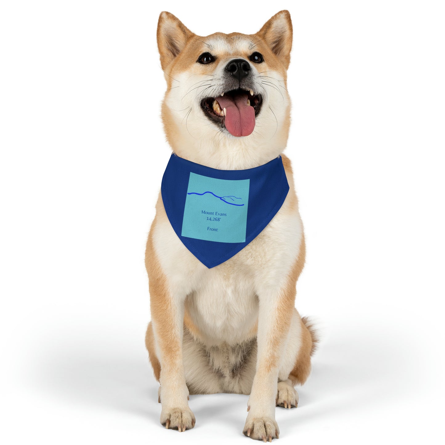 Mount Evans 14er Pet Bandana Collar