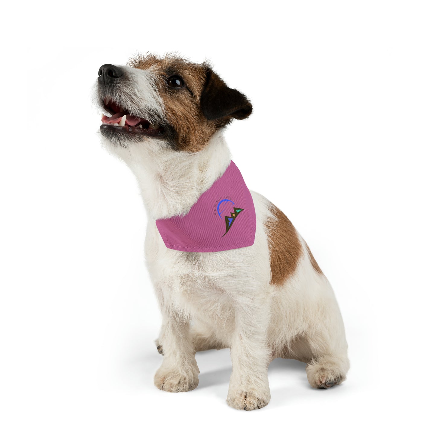 Summit Life Pet Bandana Collar - Pink