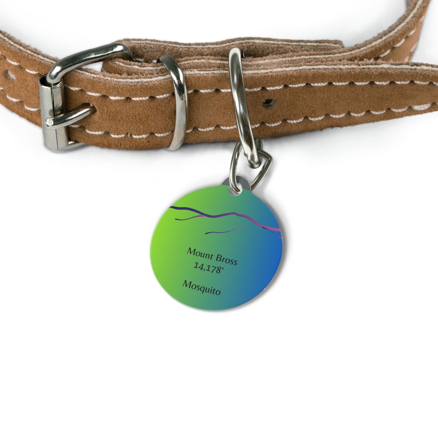 Mount Bross Pet Tag