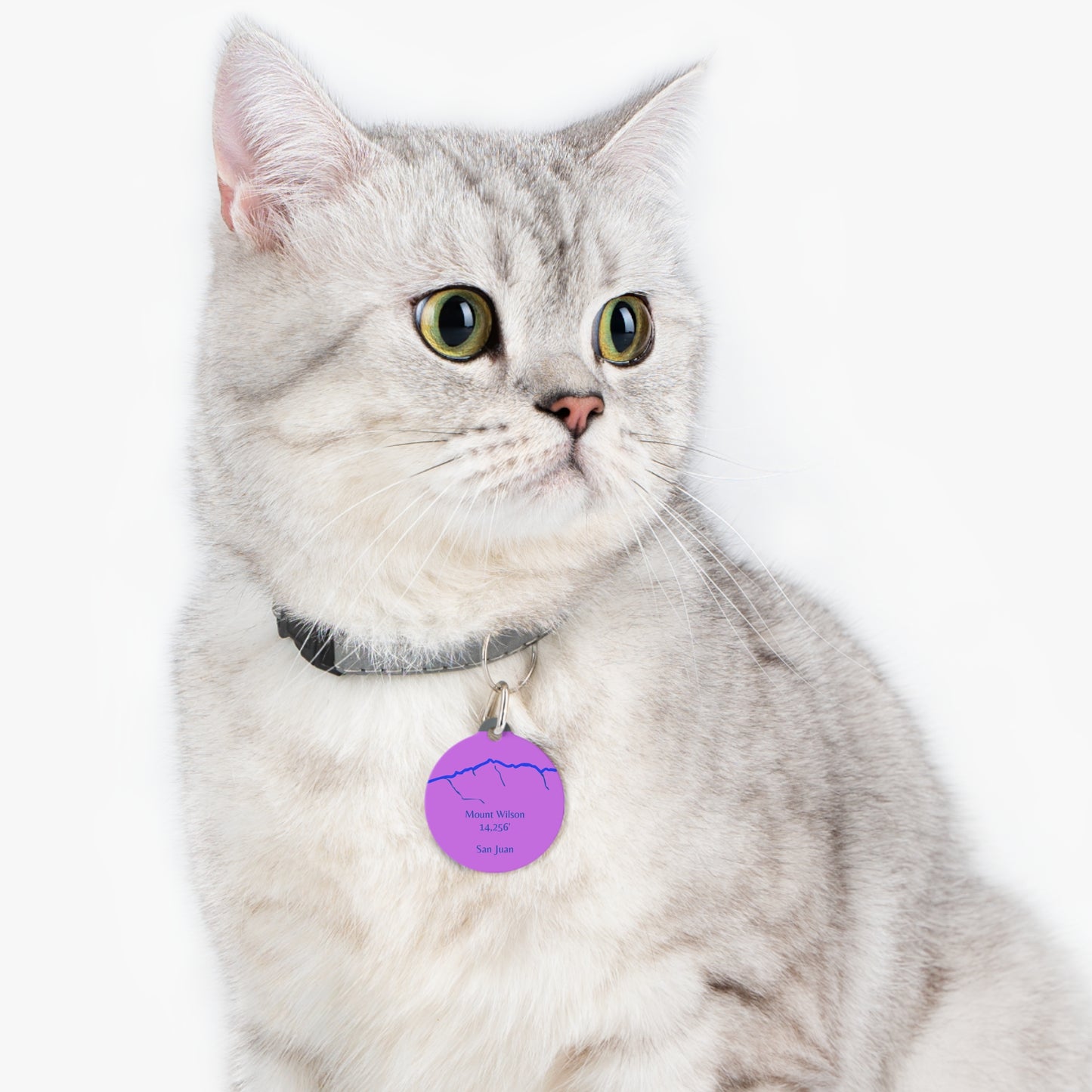 Mount Wilson Pet Tag