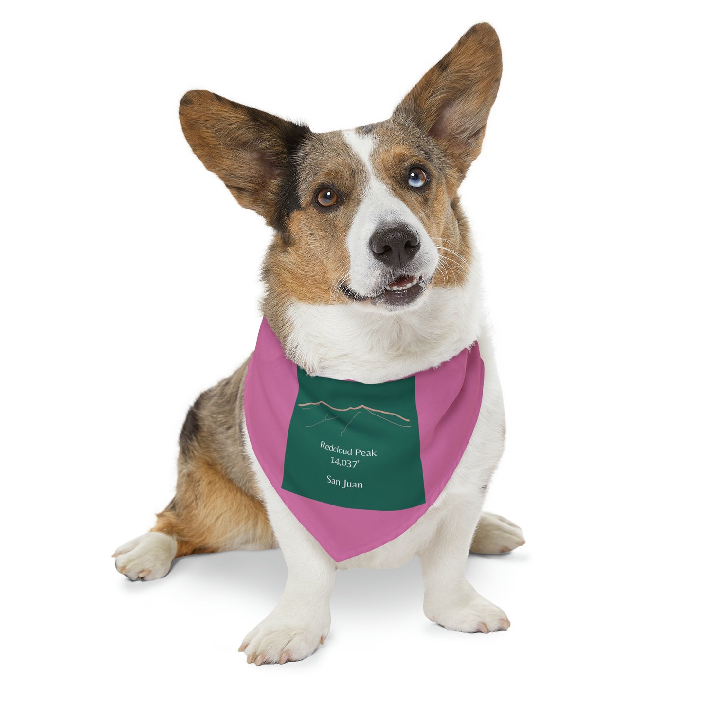 Redcloud Peak 14er Pet Bandana Collar