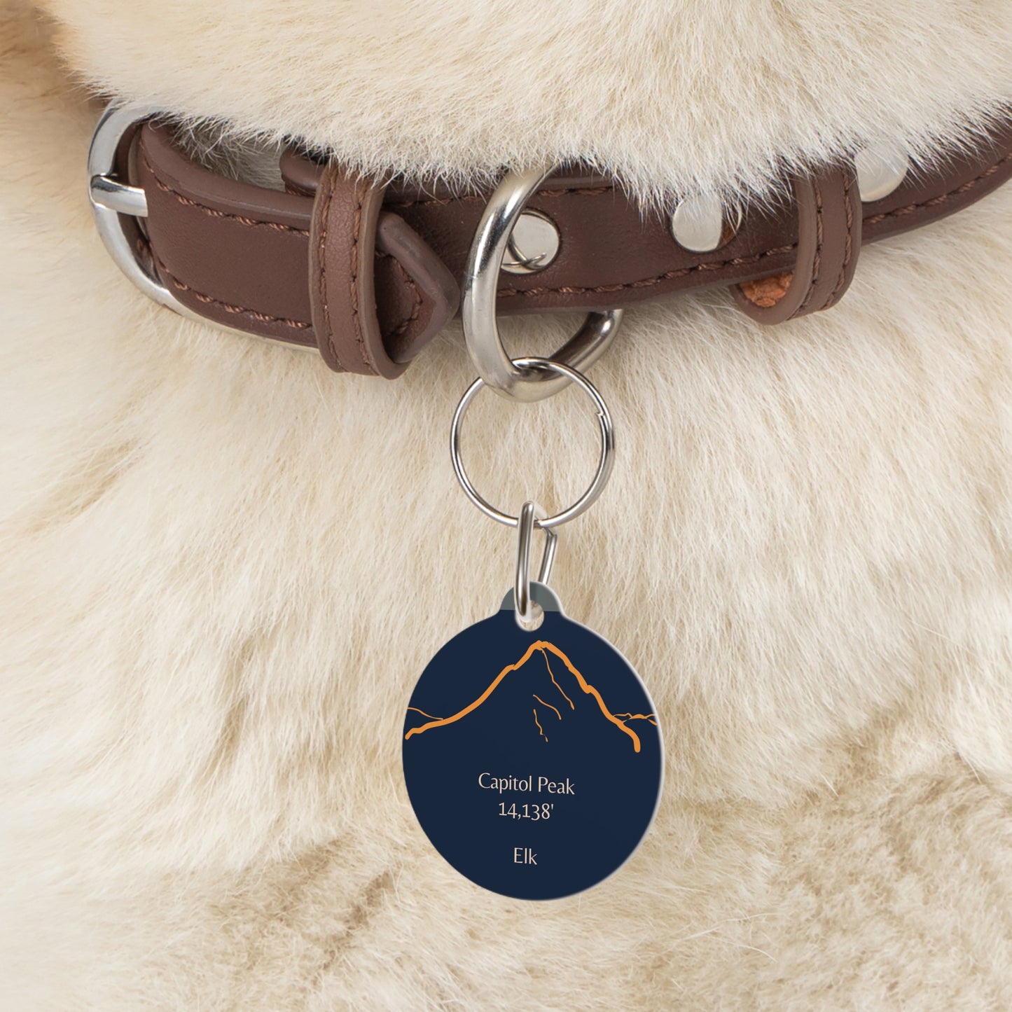 Capitol Peak Pet Tag