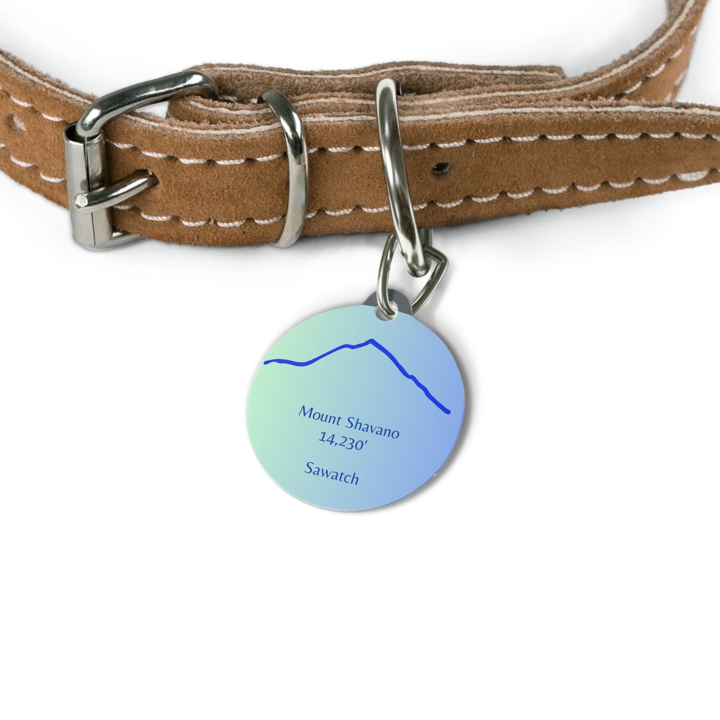 Mount Shavano Pet Tag