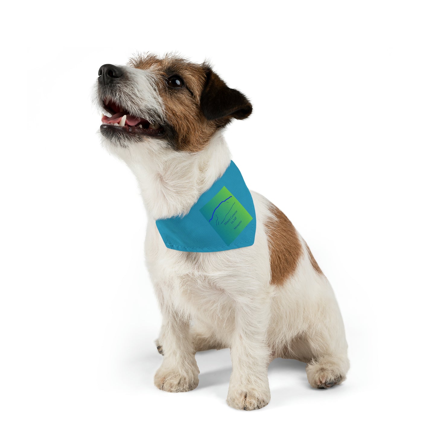 Mount Cameron 14er Pet Bandana Collar
