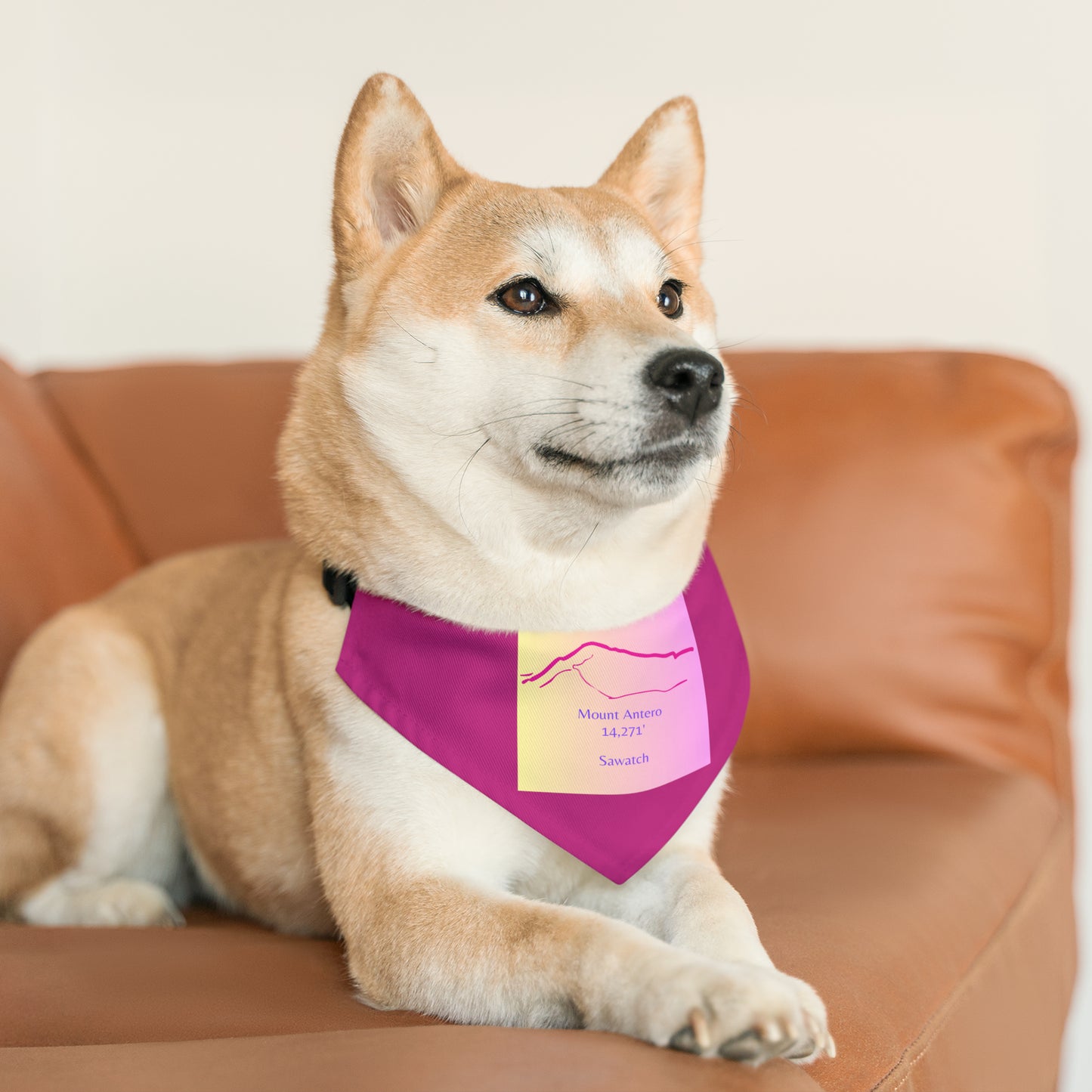 Mount Antero 14er Pet Bandana Collar