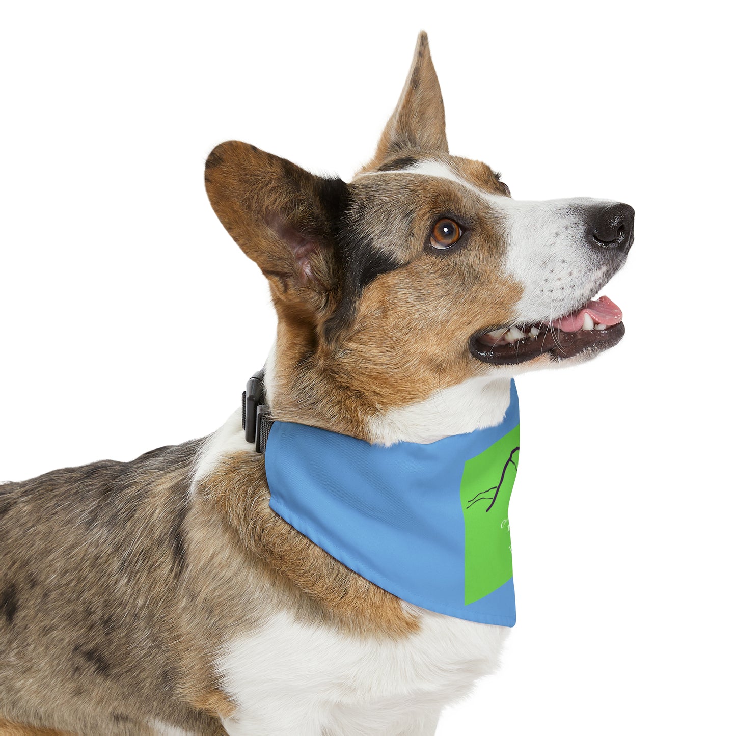 Quandary Peak 14er Pet Bandana Collar