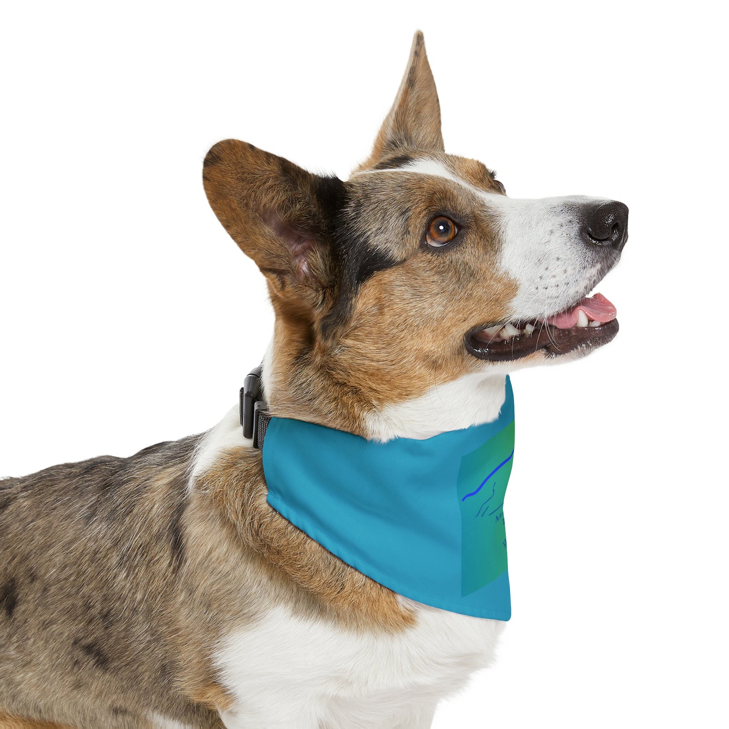 Mount Cameron 14er Pet Bandana Collar