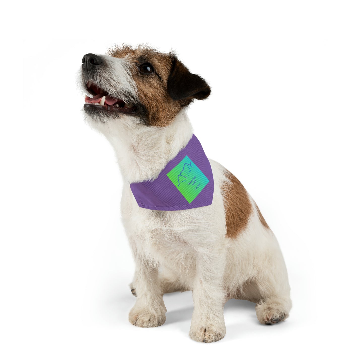 Mount Eolus 14er Pet Bandana Collar