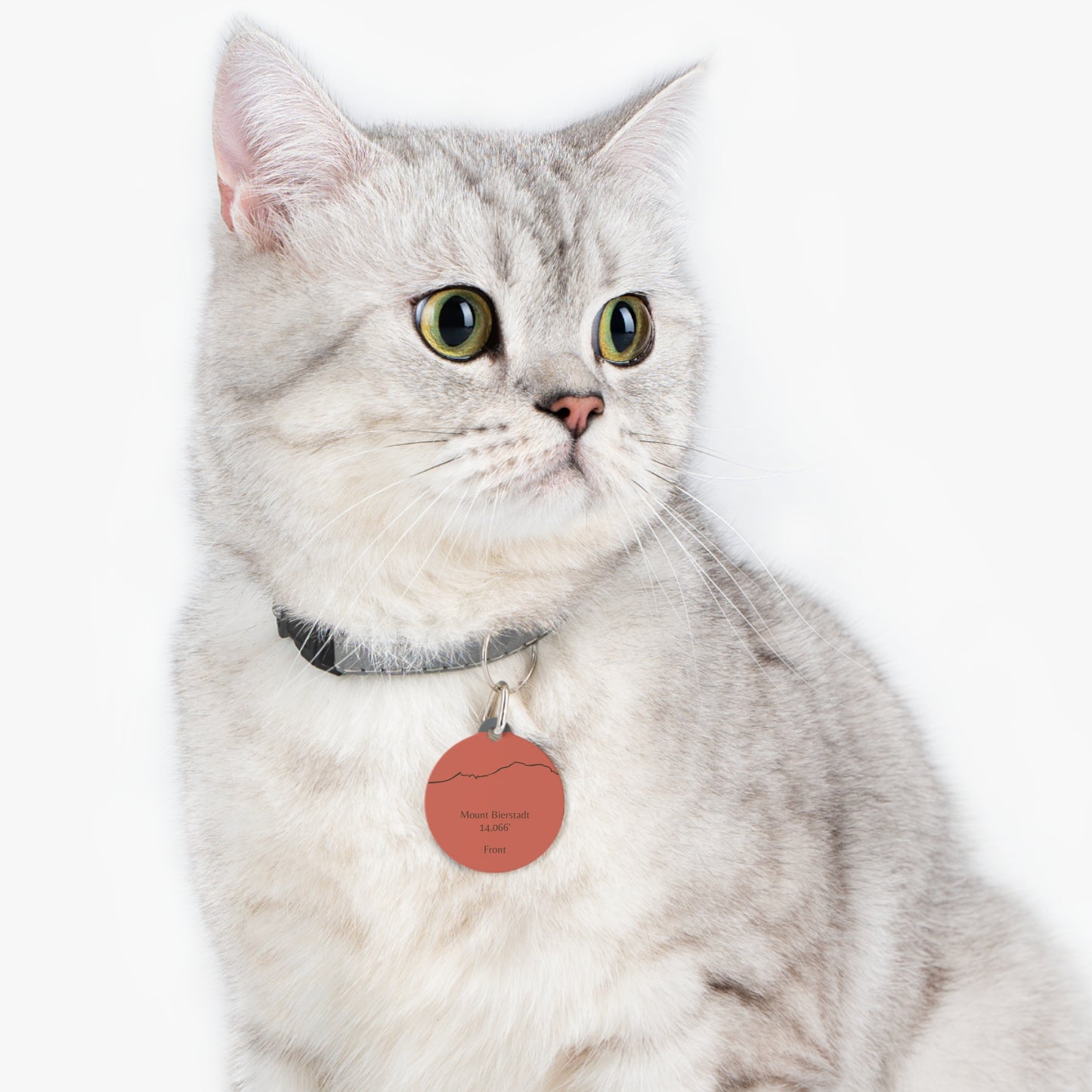 Mount Bierstadt Pet Tag