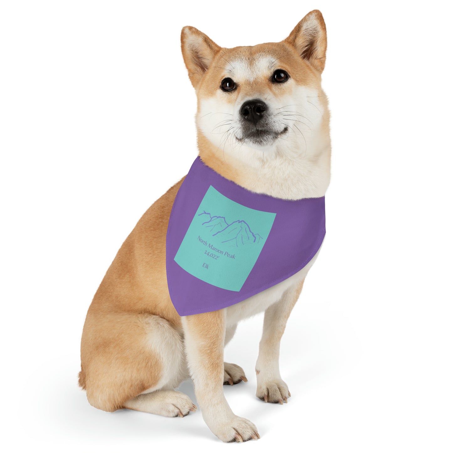 North Maroon Peak 14er Pet Bandana Collar