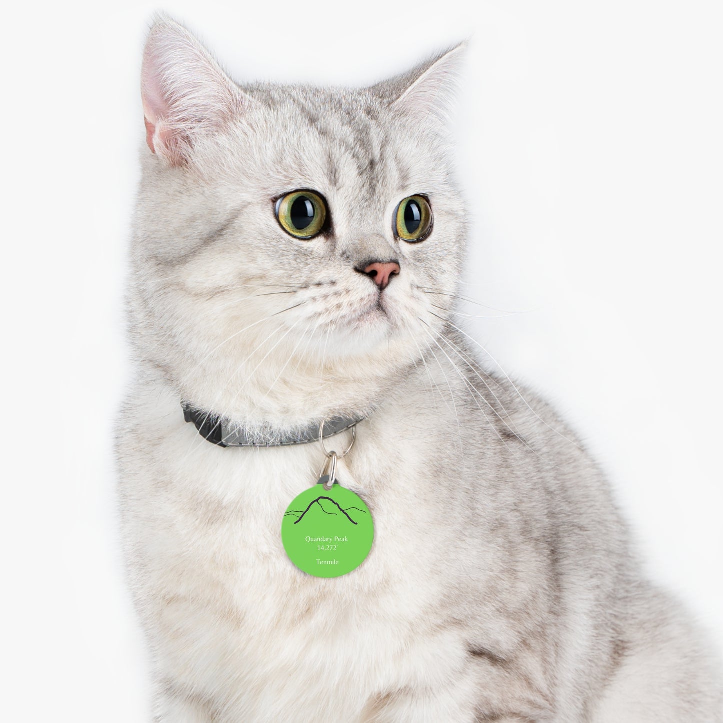 Quandary Peak Pet Tag